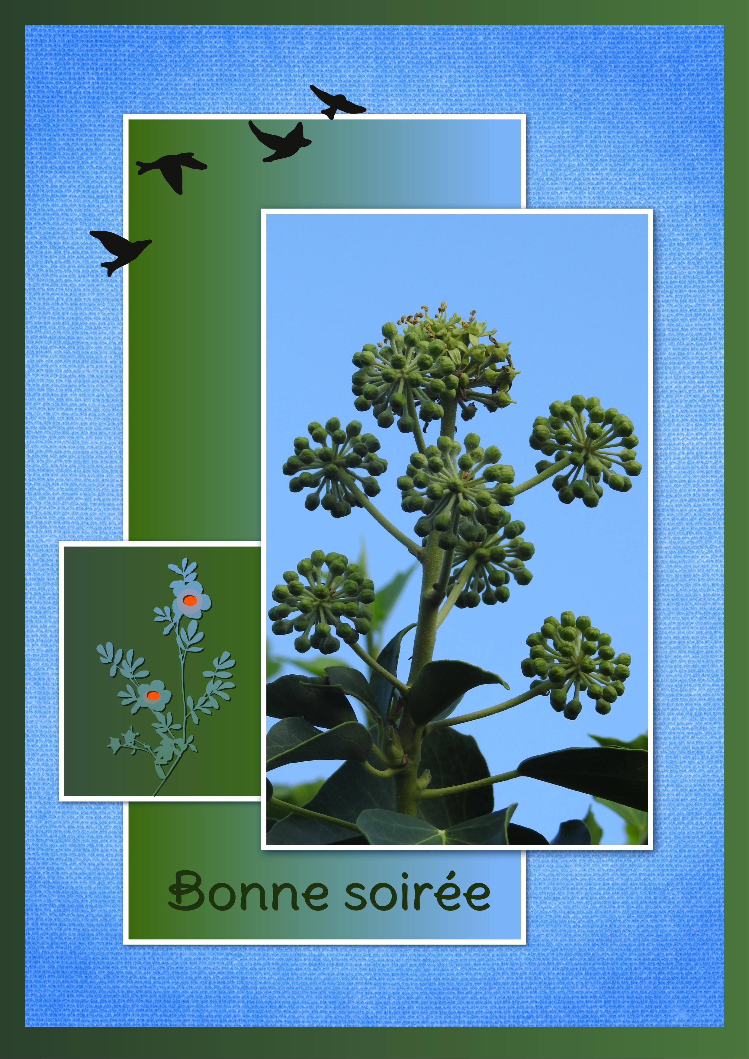 J - BONNE SOIREE.jpg