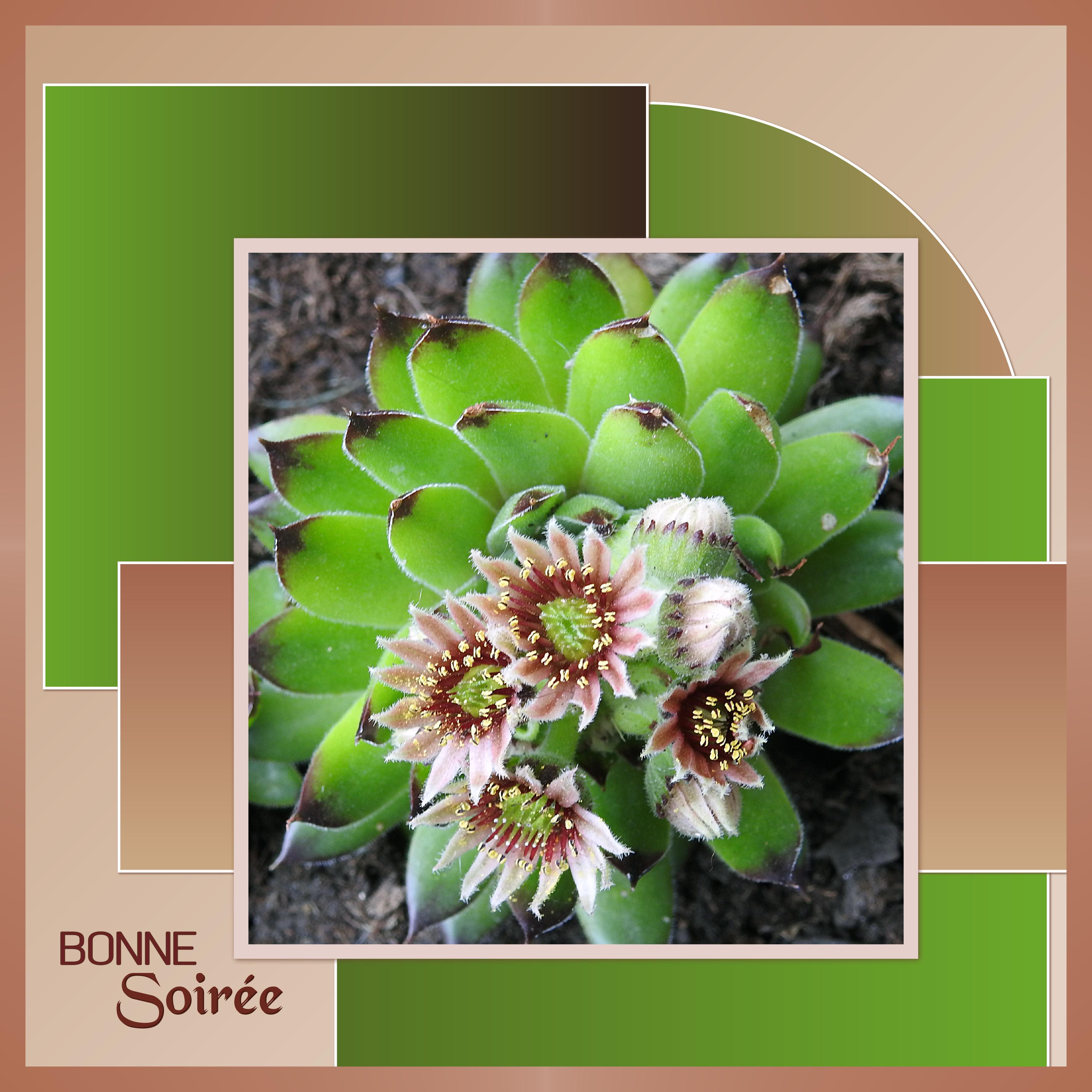 J - BONNE SOIREE.jpg
