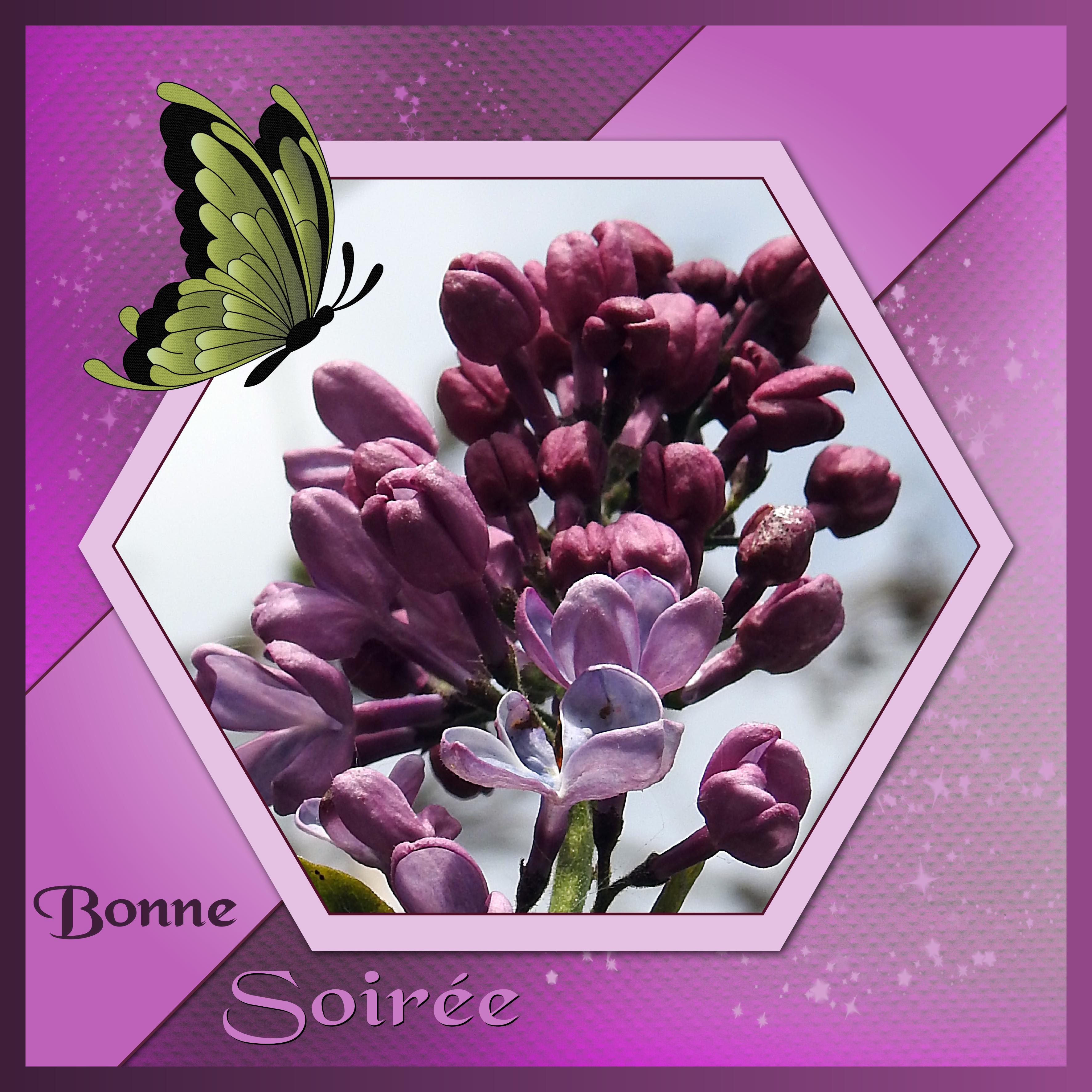 J - BONNE SOIREE.jpg