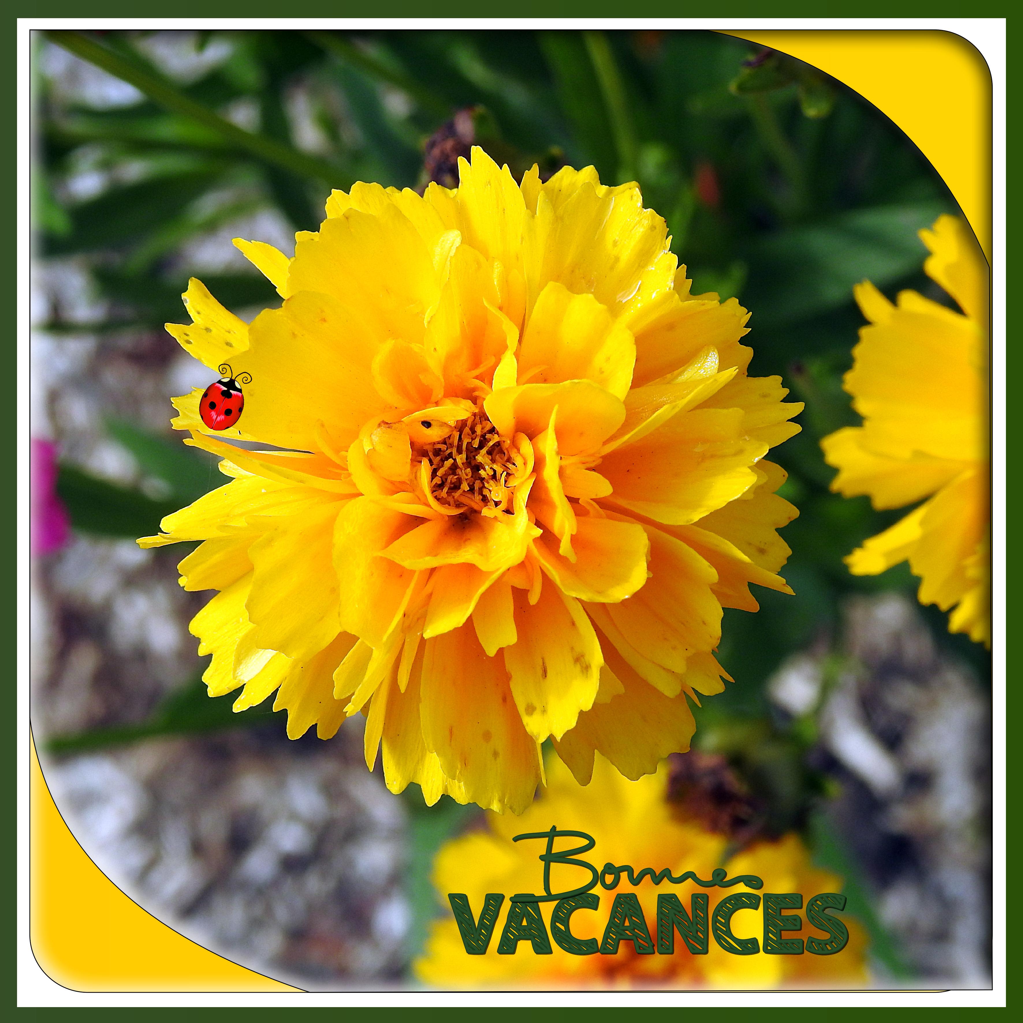 J - BONNES VACANCES.jpg