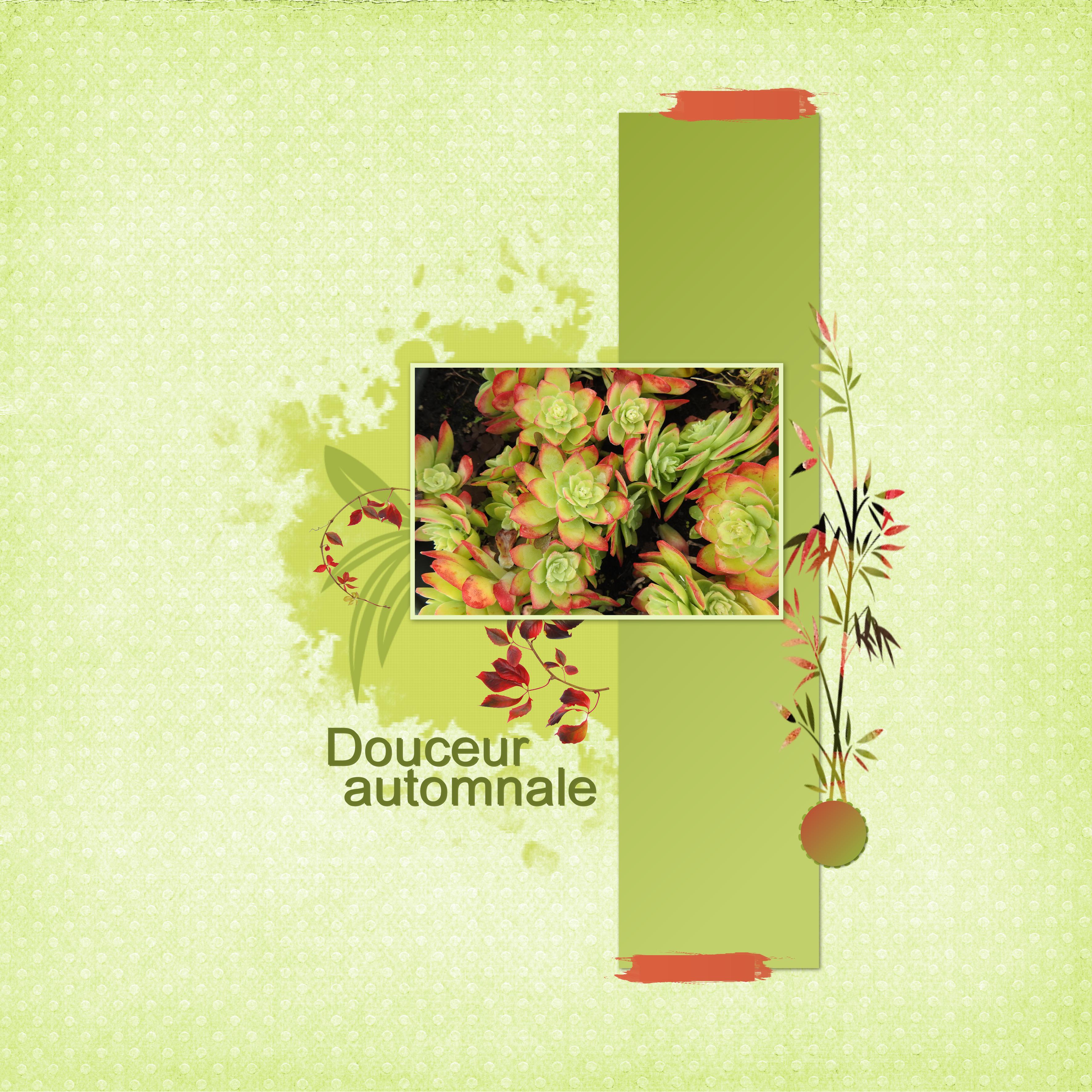 J-c109 - DOUCEUR AUTOMNALE.jpg