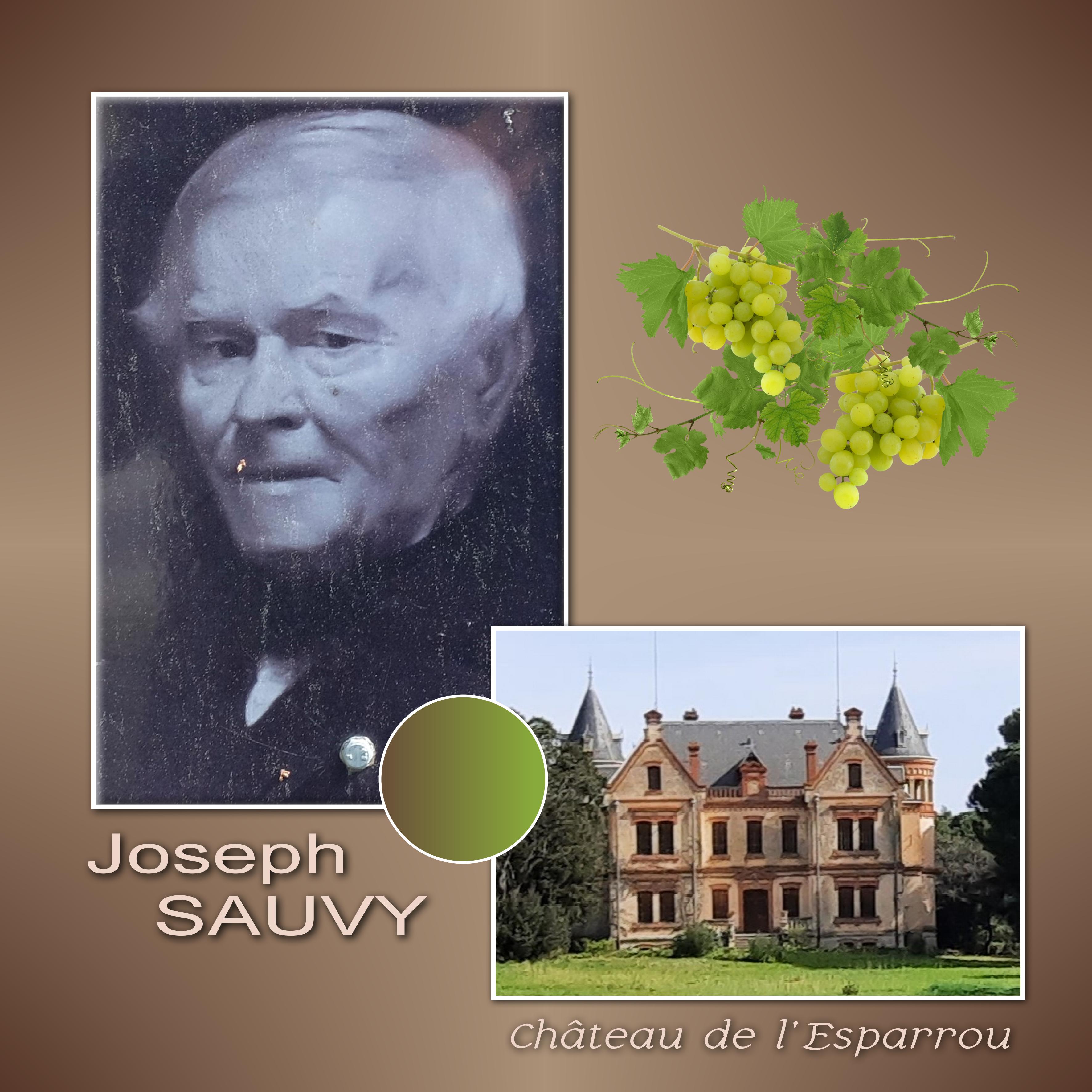 J-c11 - JOSEPH SAUVY.jpg