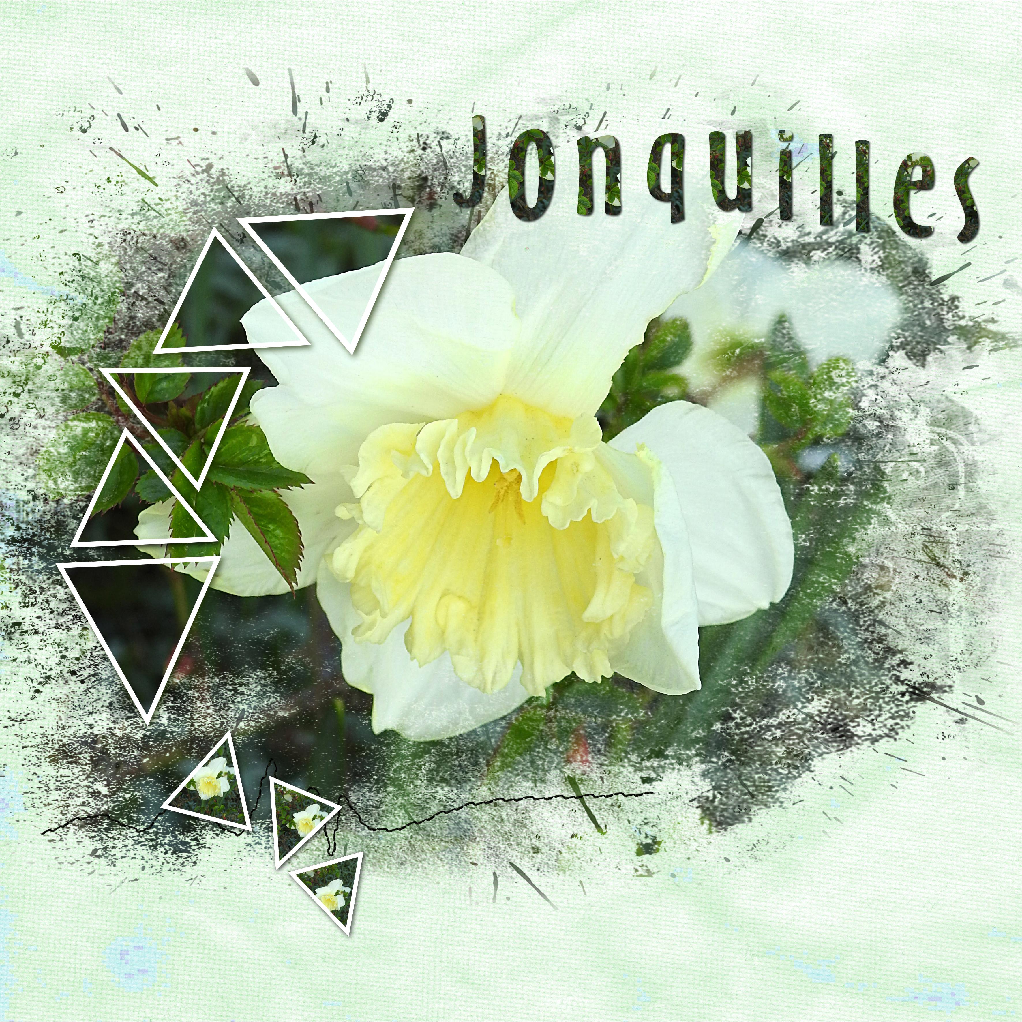 J-c114 - JONQUILLES.jpg