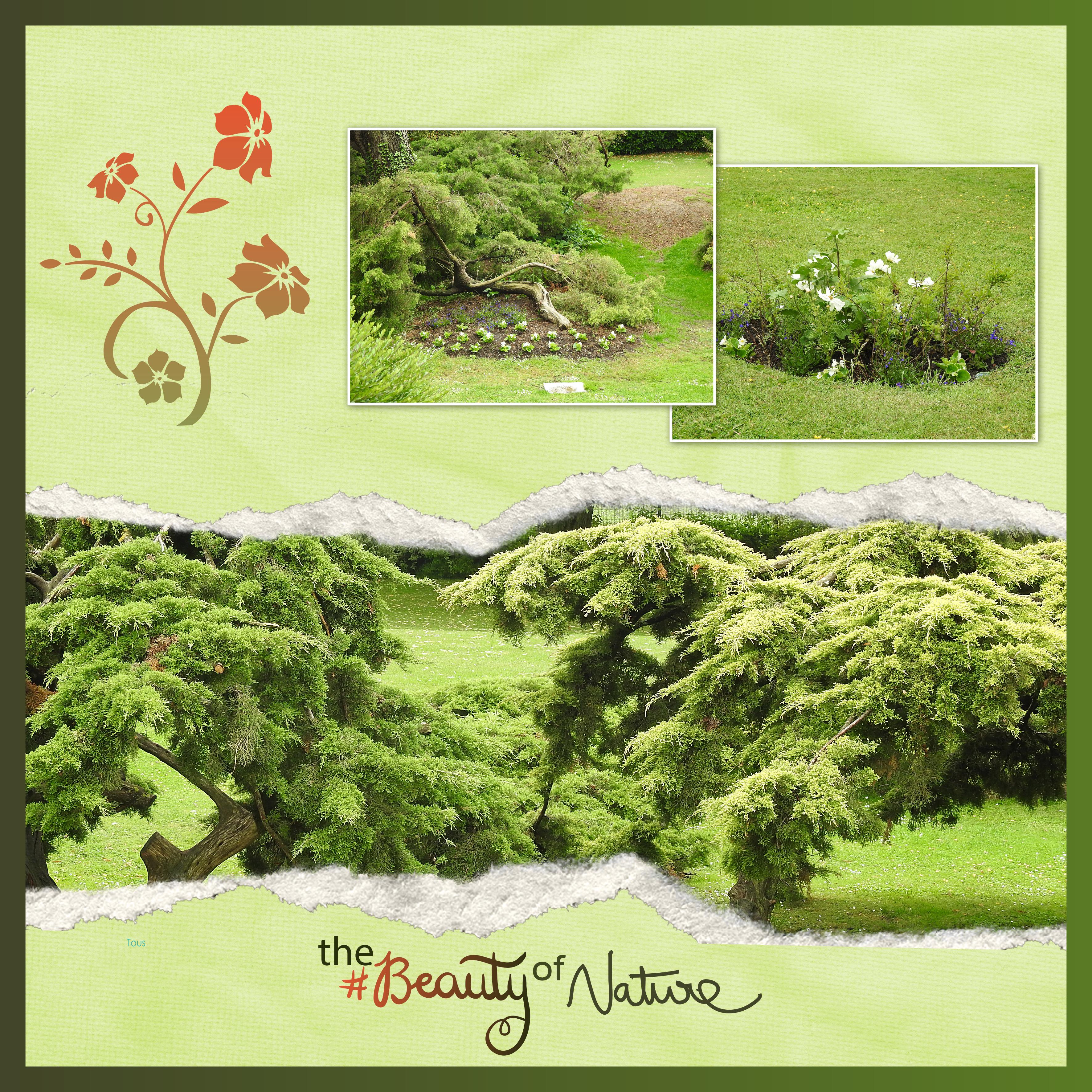 J-c116 - THE BEAUTY OF NATURE.jpg