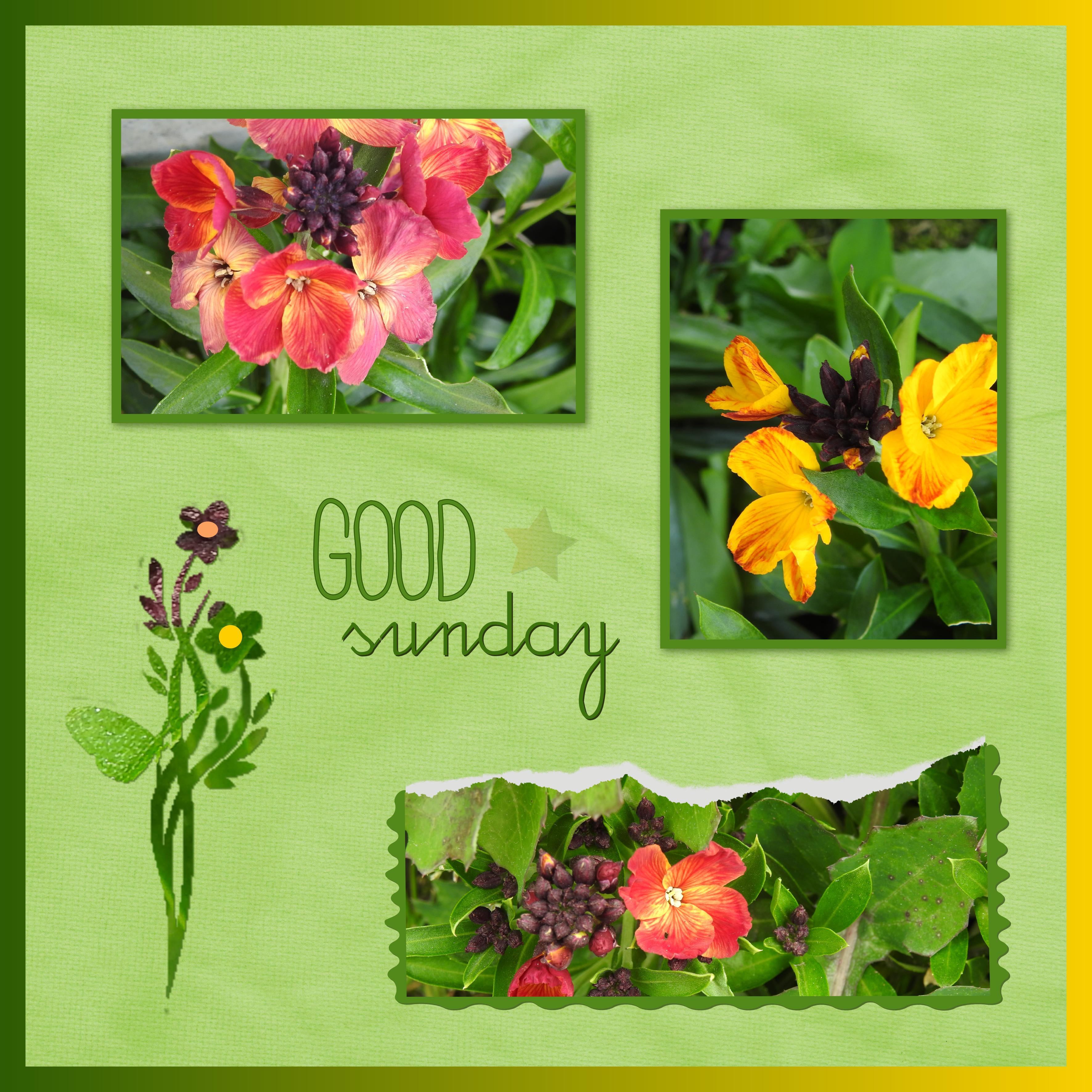 J-c117 - GOOD SUNDAY.jpg