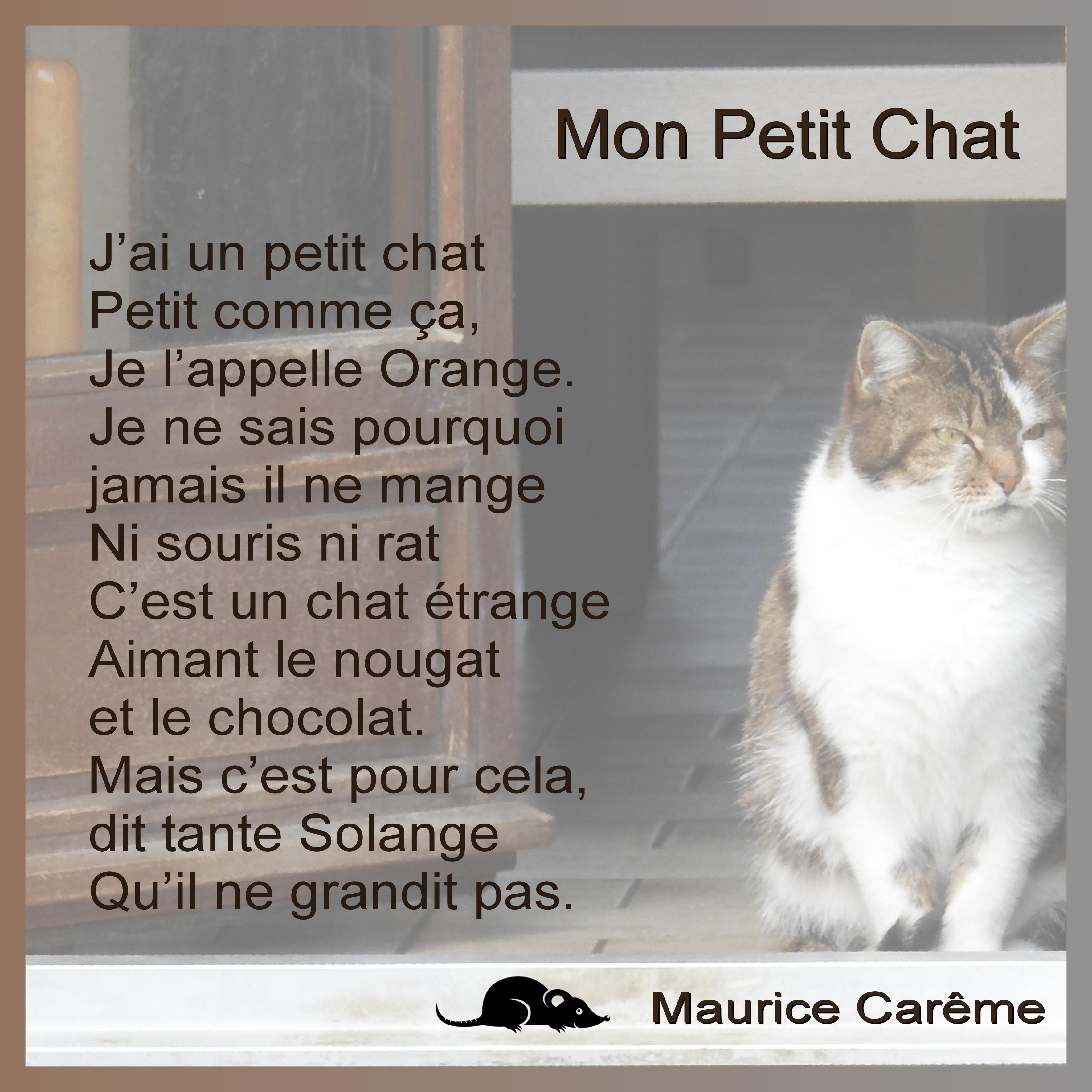 J-c118 - MON PETIT CHAT.jpg