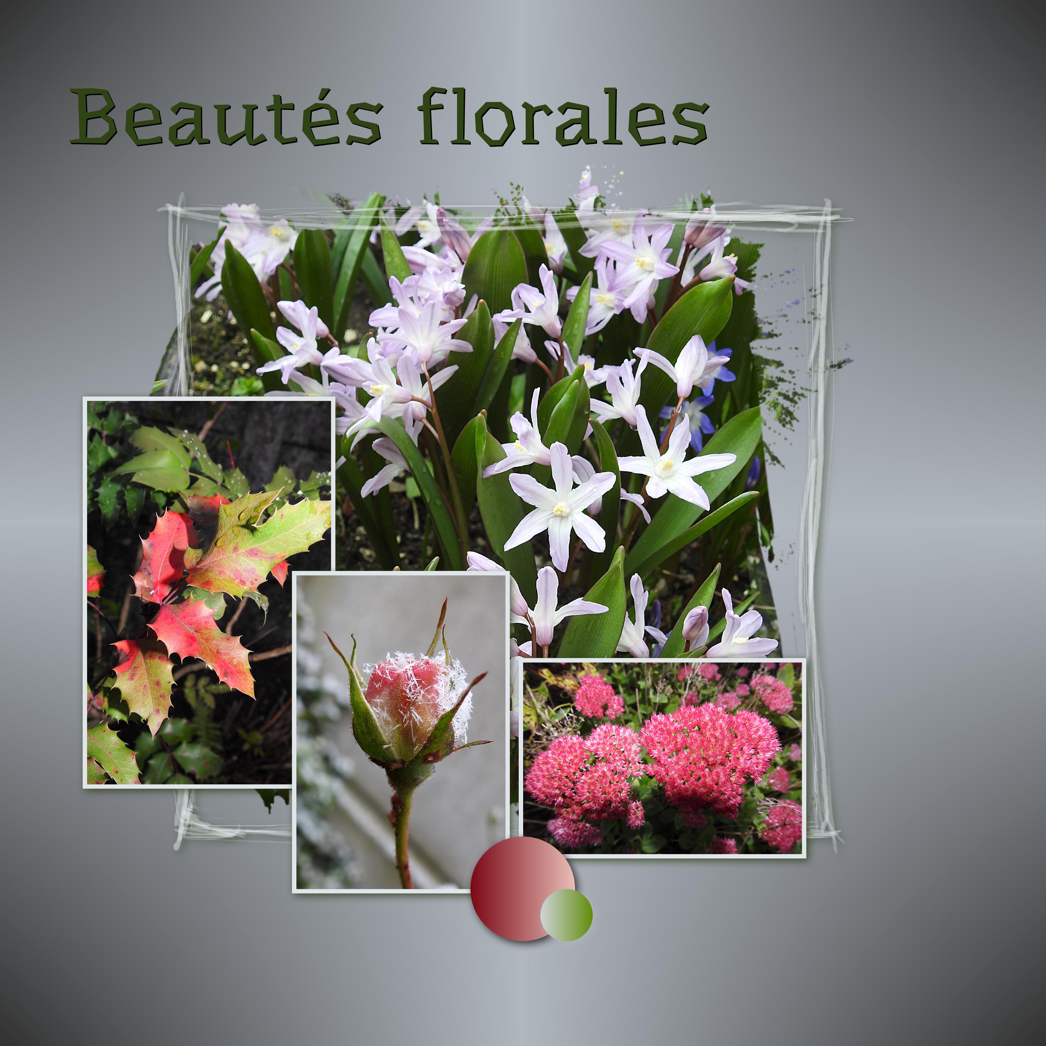 J-c12 - BEAUTES FLORALES.jpg