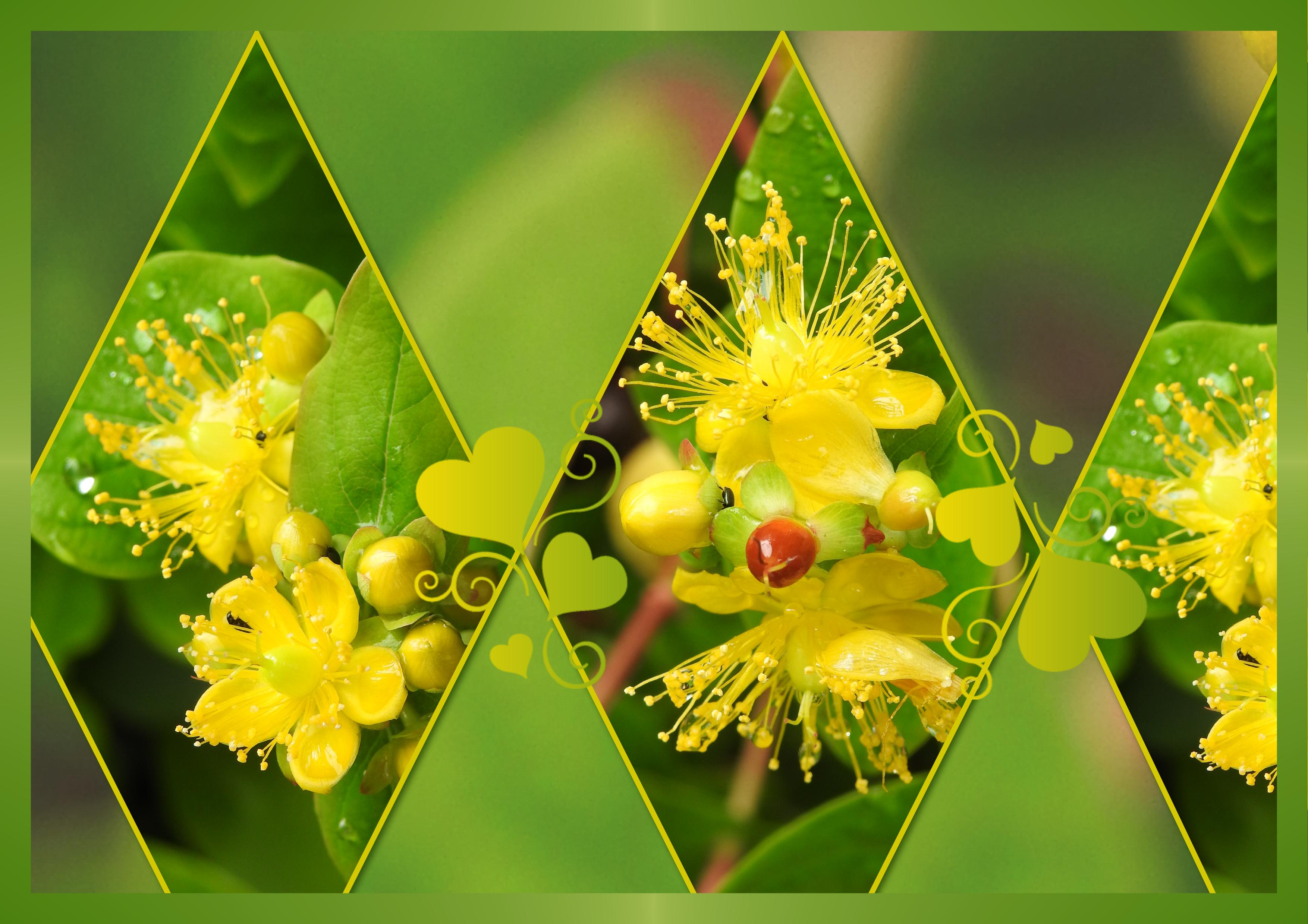 J-c122 - BONNE SOIREE.jpg