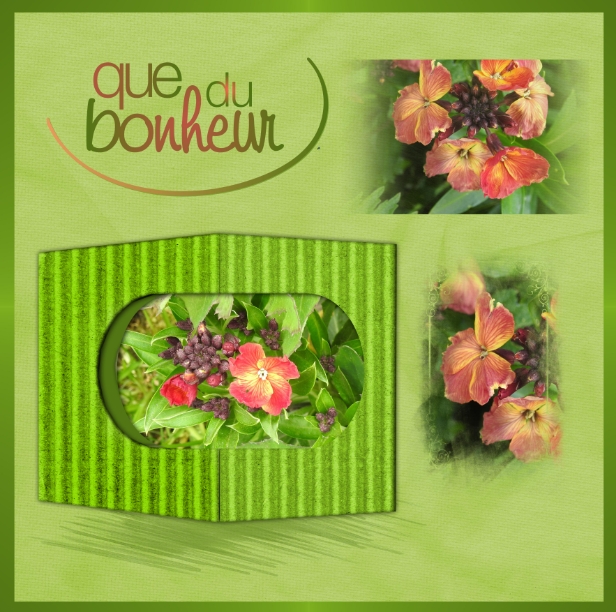 J-c122 - QUE DU BONHEUR.jpg