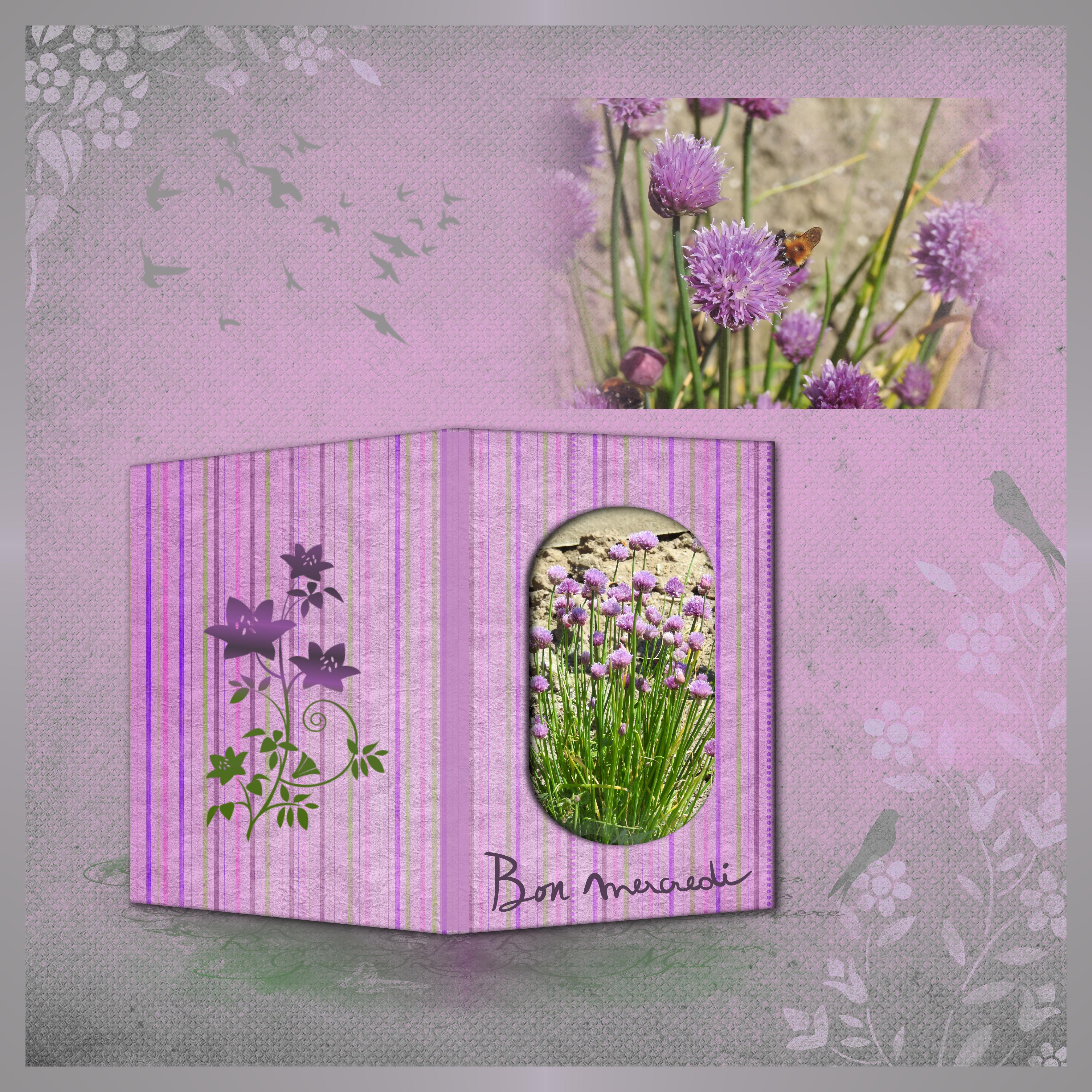 J-c123 - BON MERCREDI.jpg