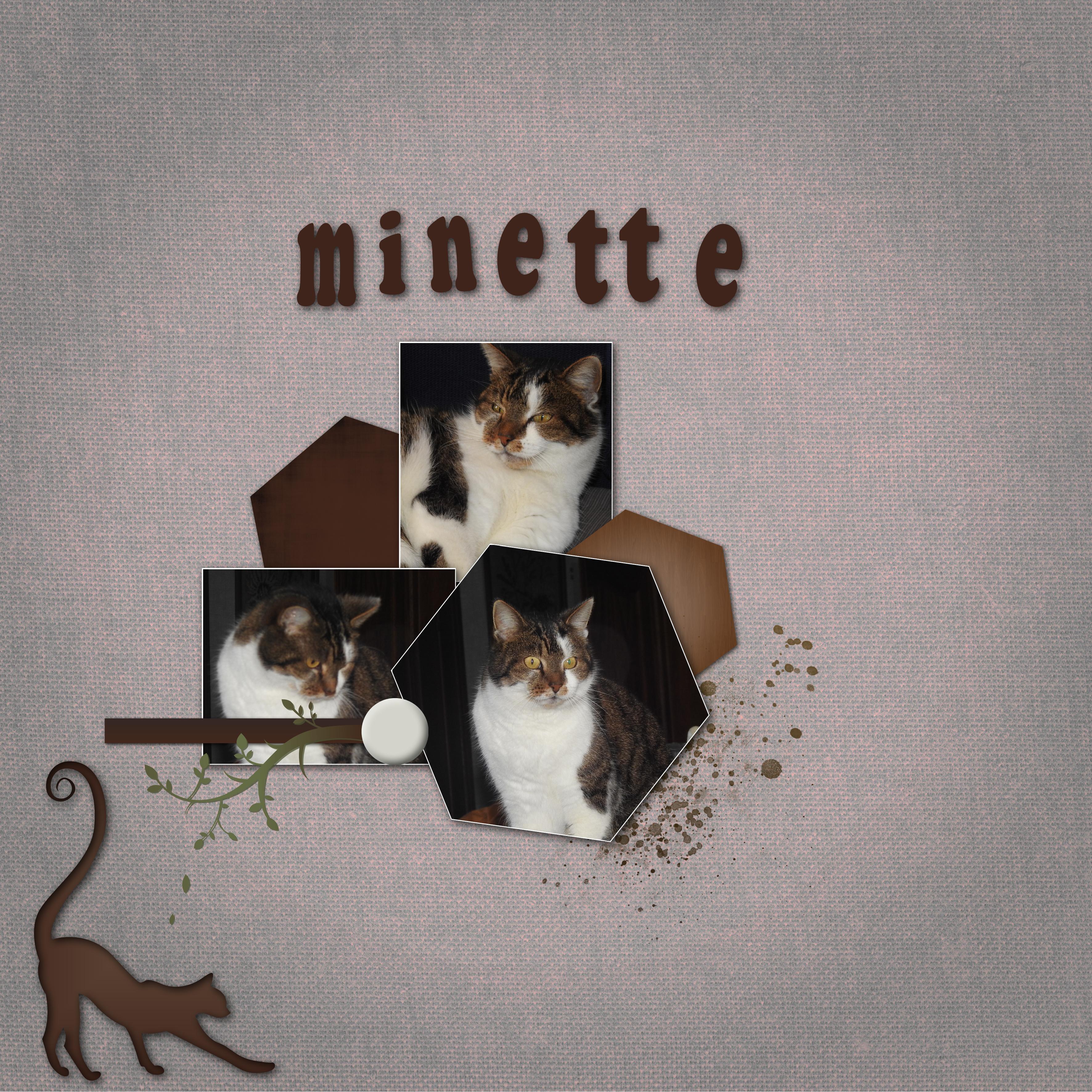 J-c127 - MINETTE.jpg