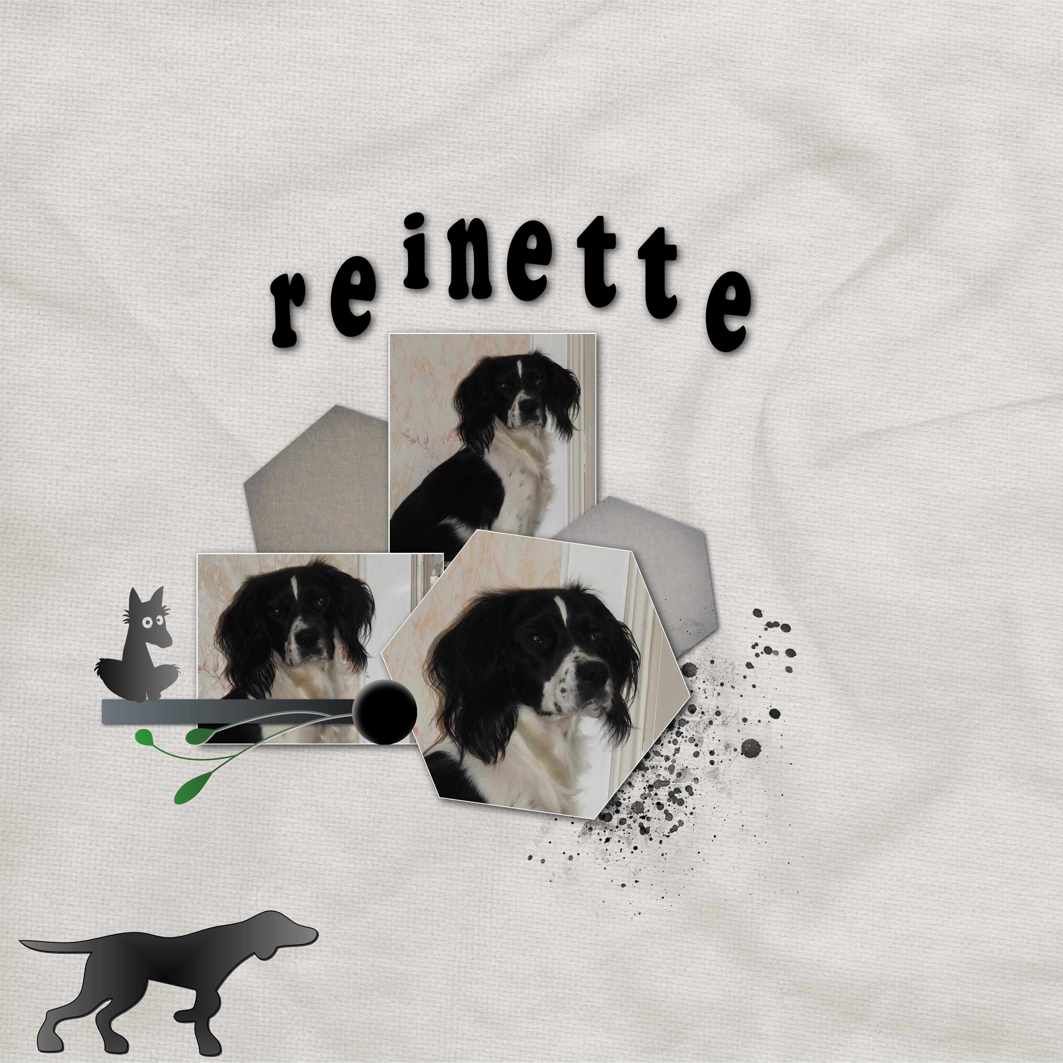 J-c128 - REINETTE.jpg