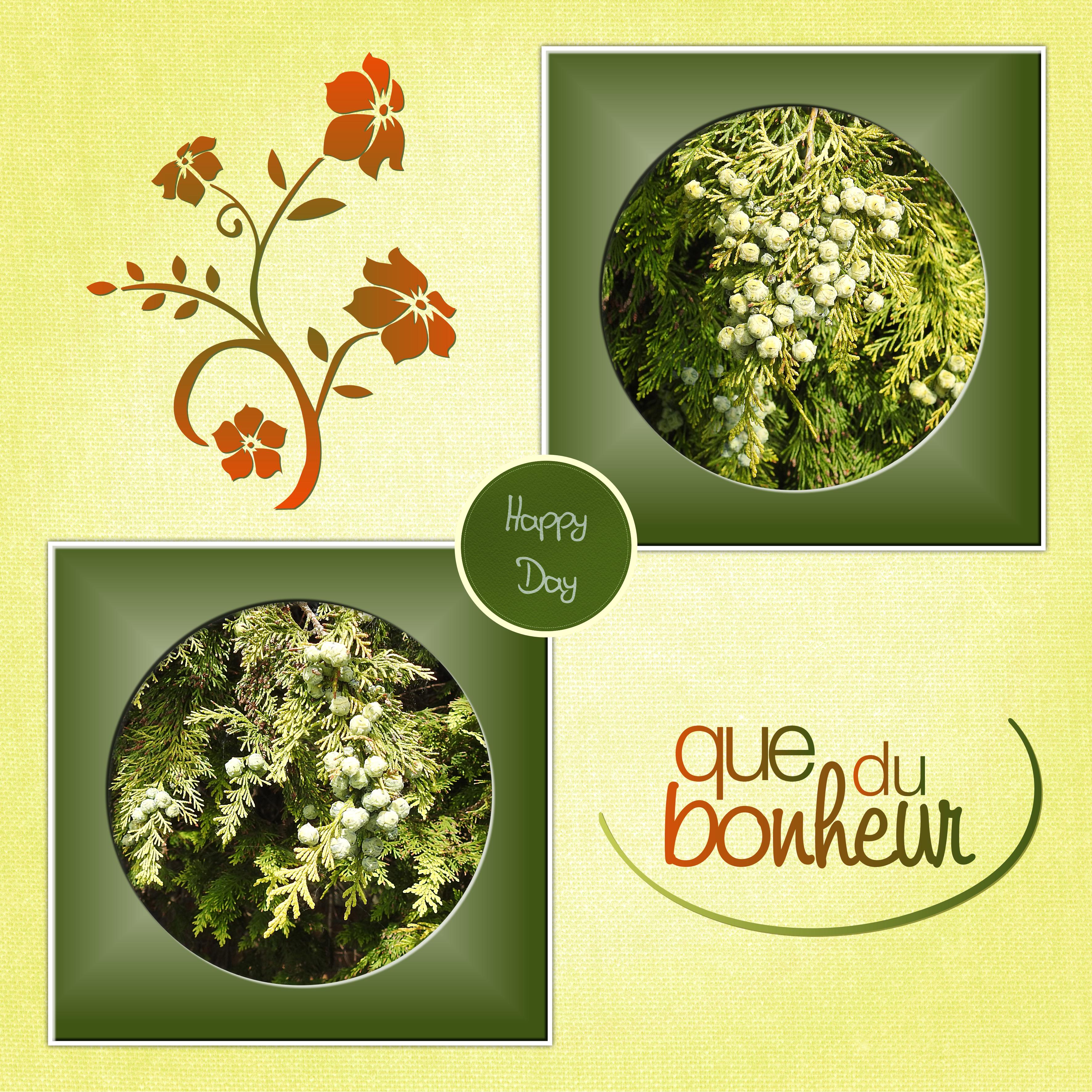 J-c133 - HAPPY DAY.jpg