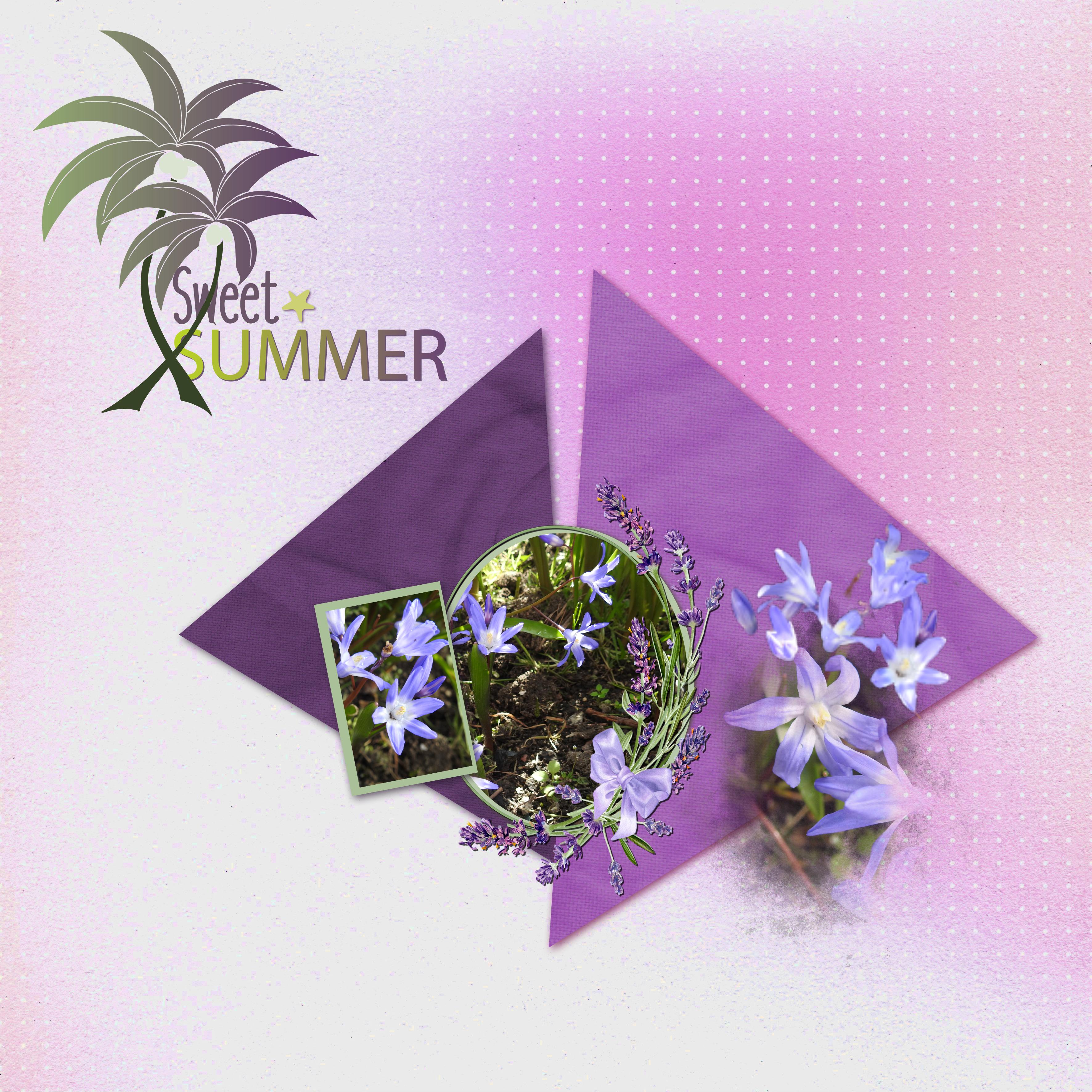 J-c137 - SWEET SUMMER .jpg