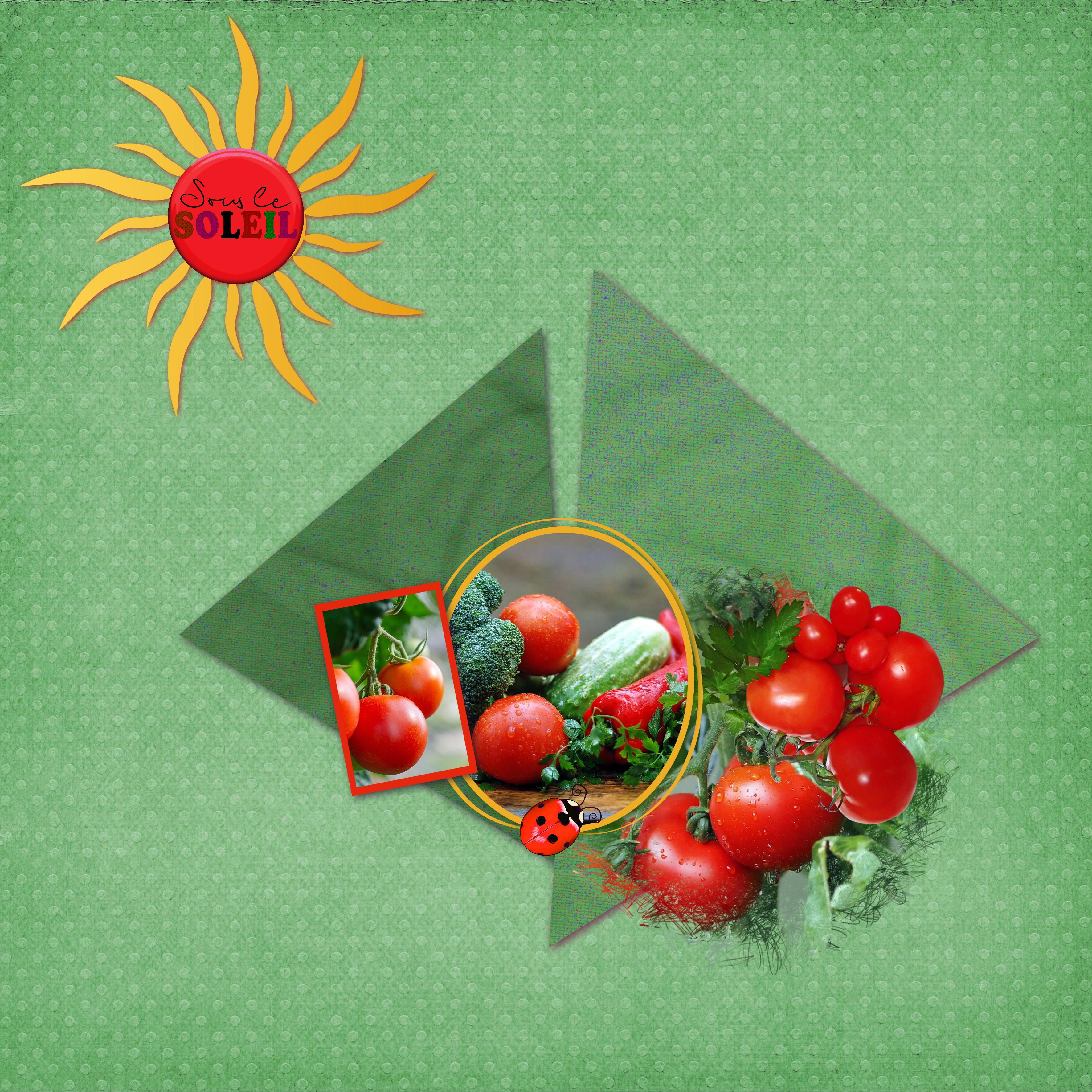 J-c138 - SOUS LE SOLEIL.jpg