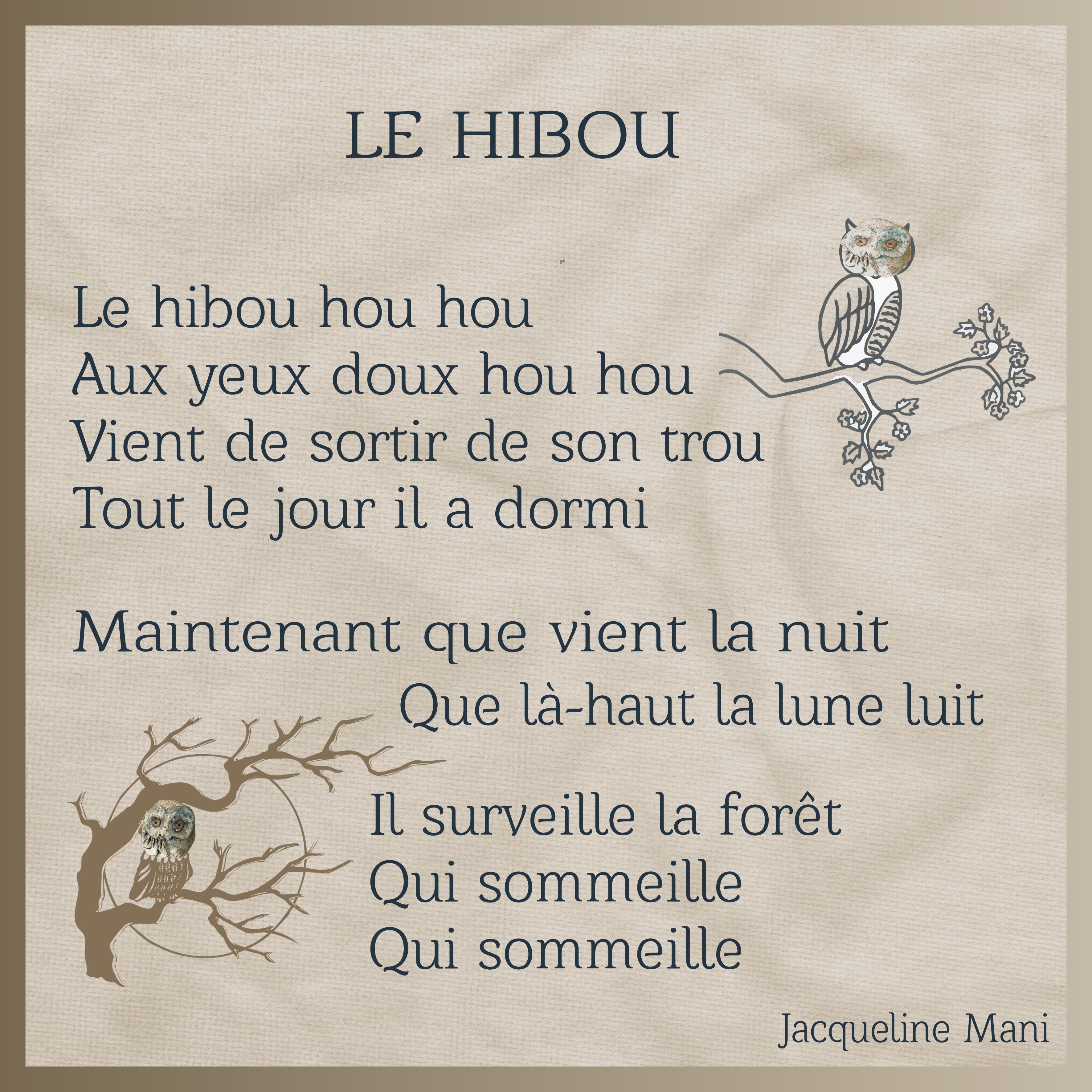 J-c141 - LE HIBOU .jpg