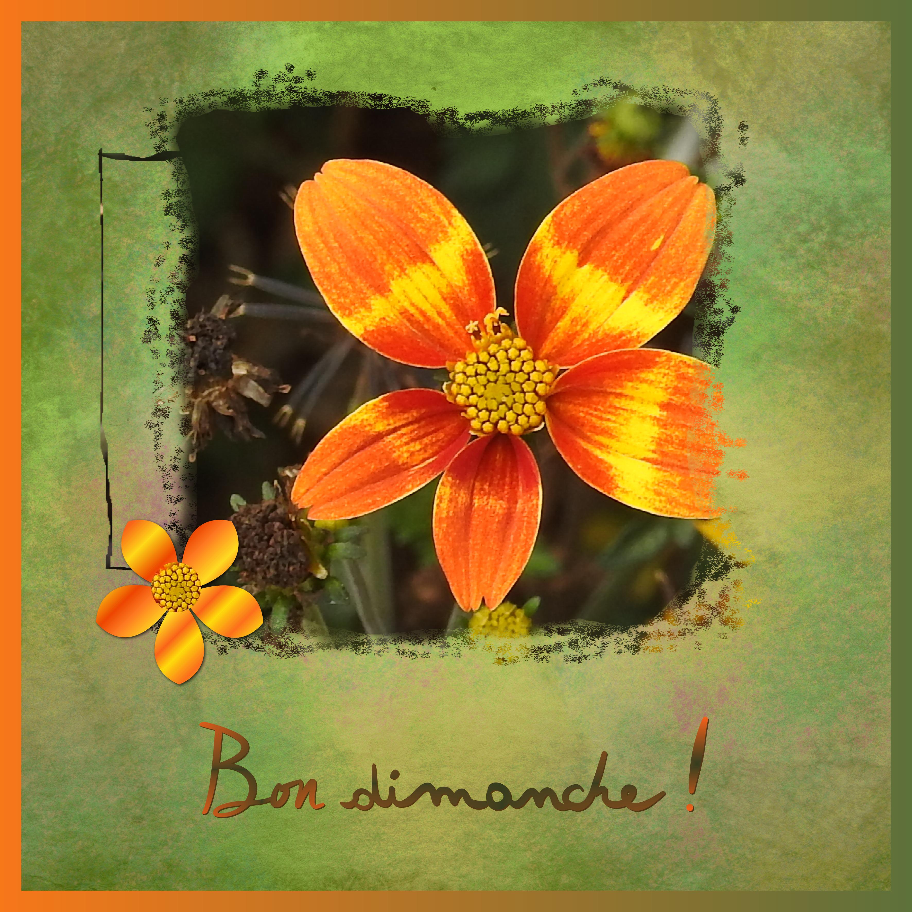 J-c145 - BON DIMANCHE.jpg