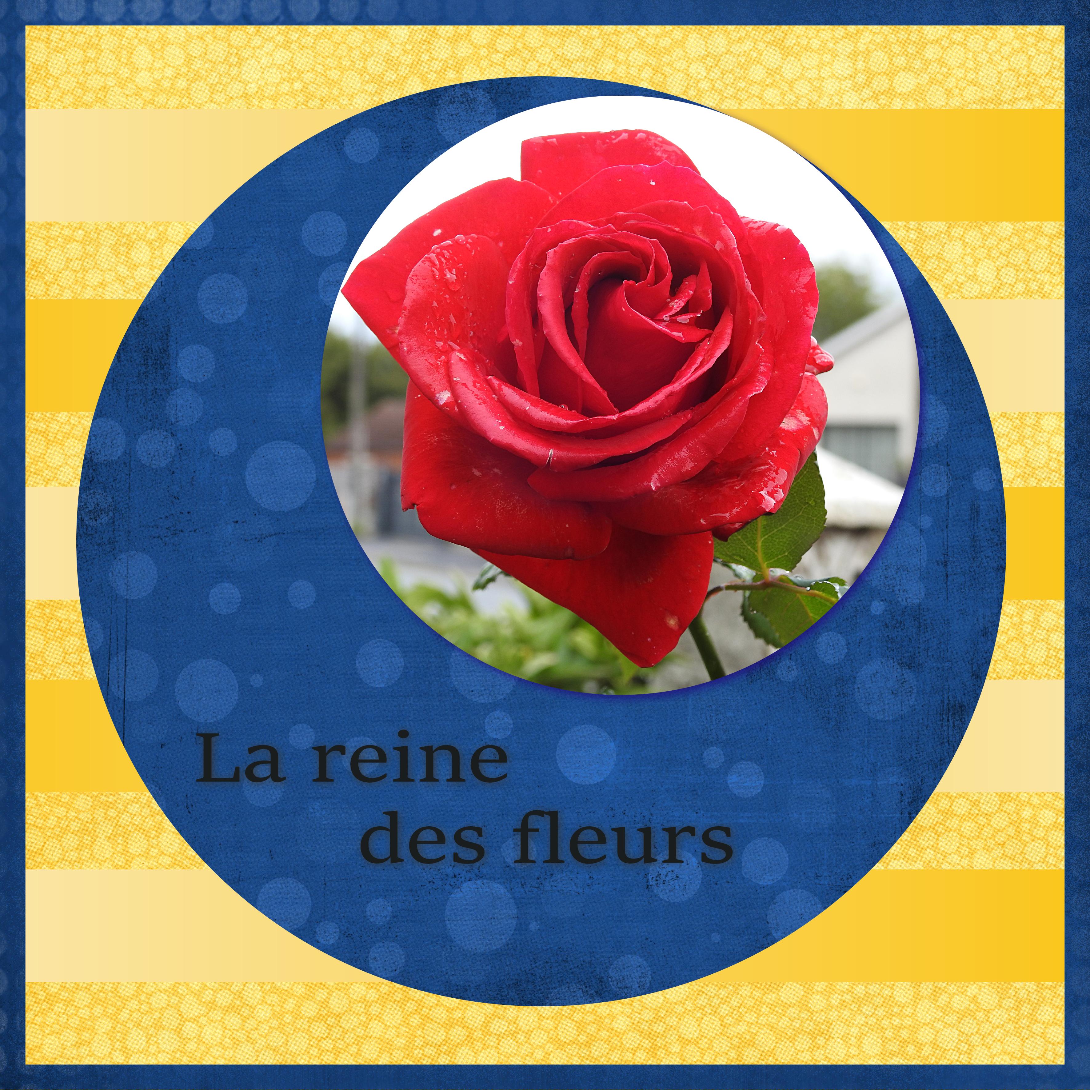 J-c15 - OFFRONS DES FLEURS.jpg