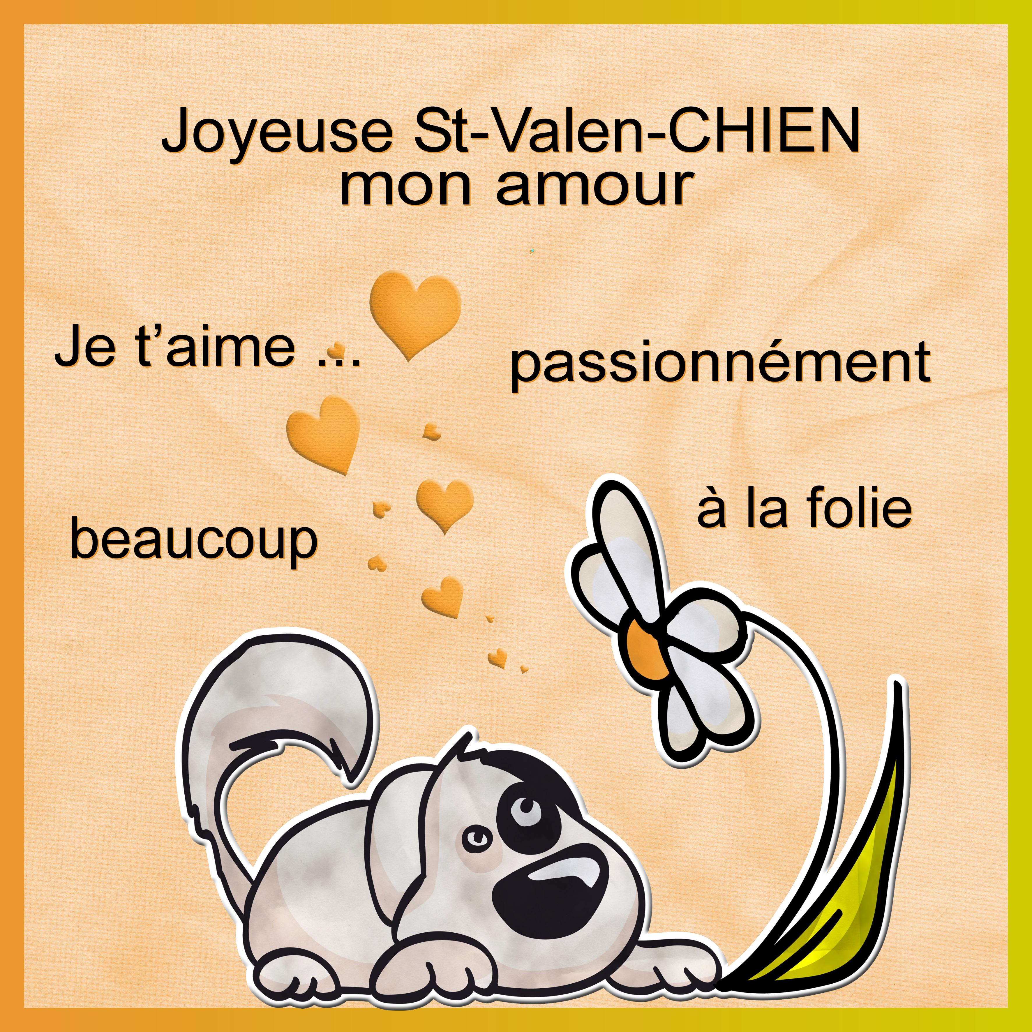 J-c151 - JOYEUSE SAINT VALEN-CHIEN.jpg