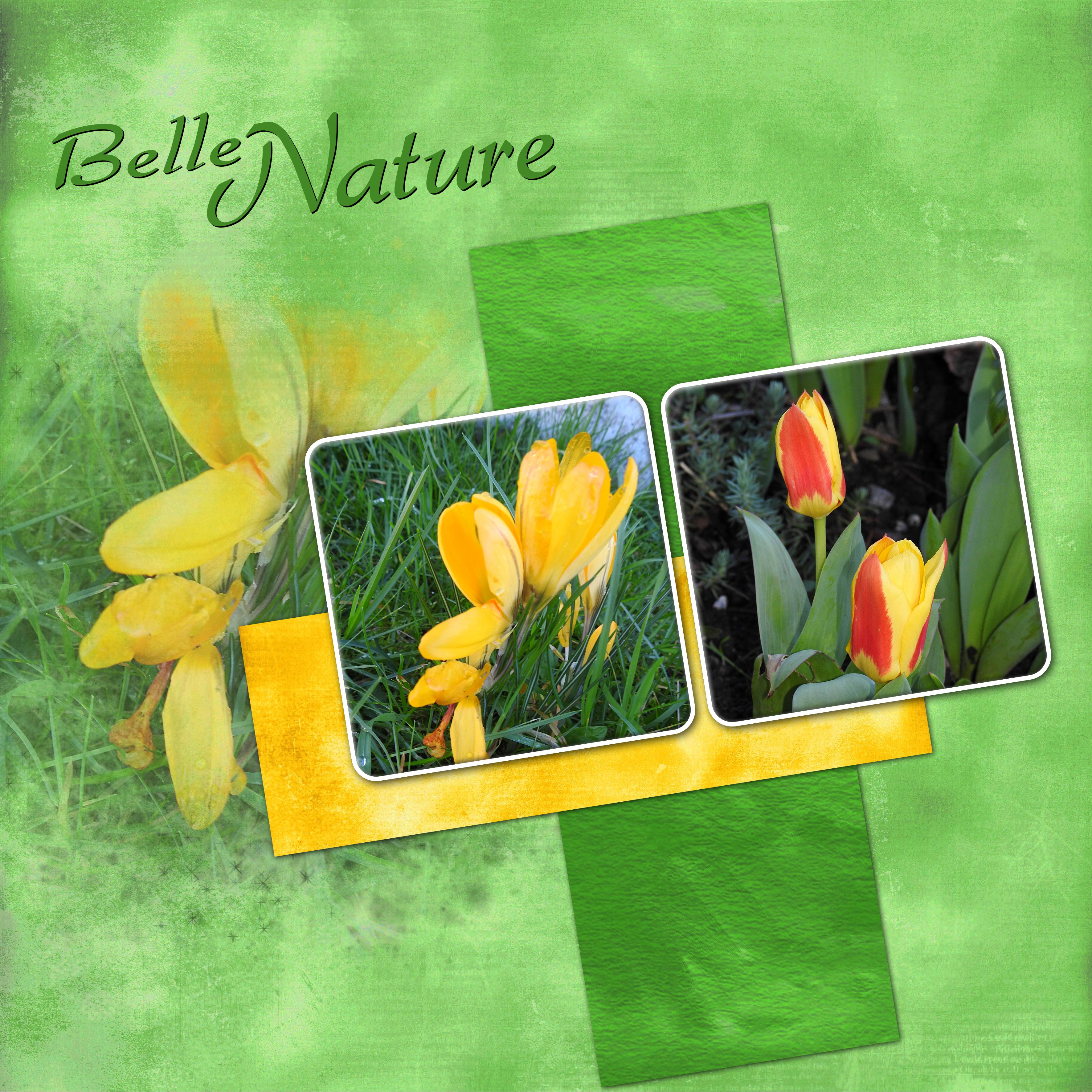 J-c153 - BELLE NATURE.jpg