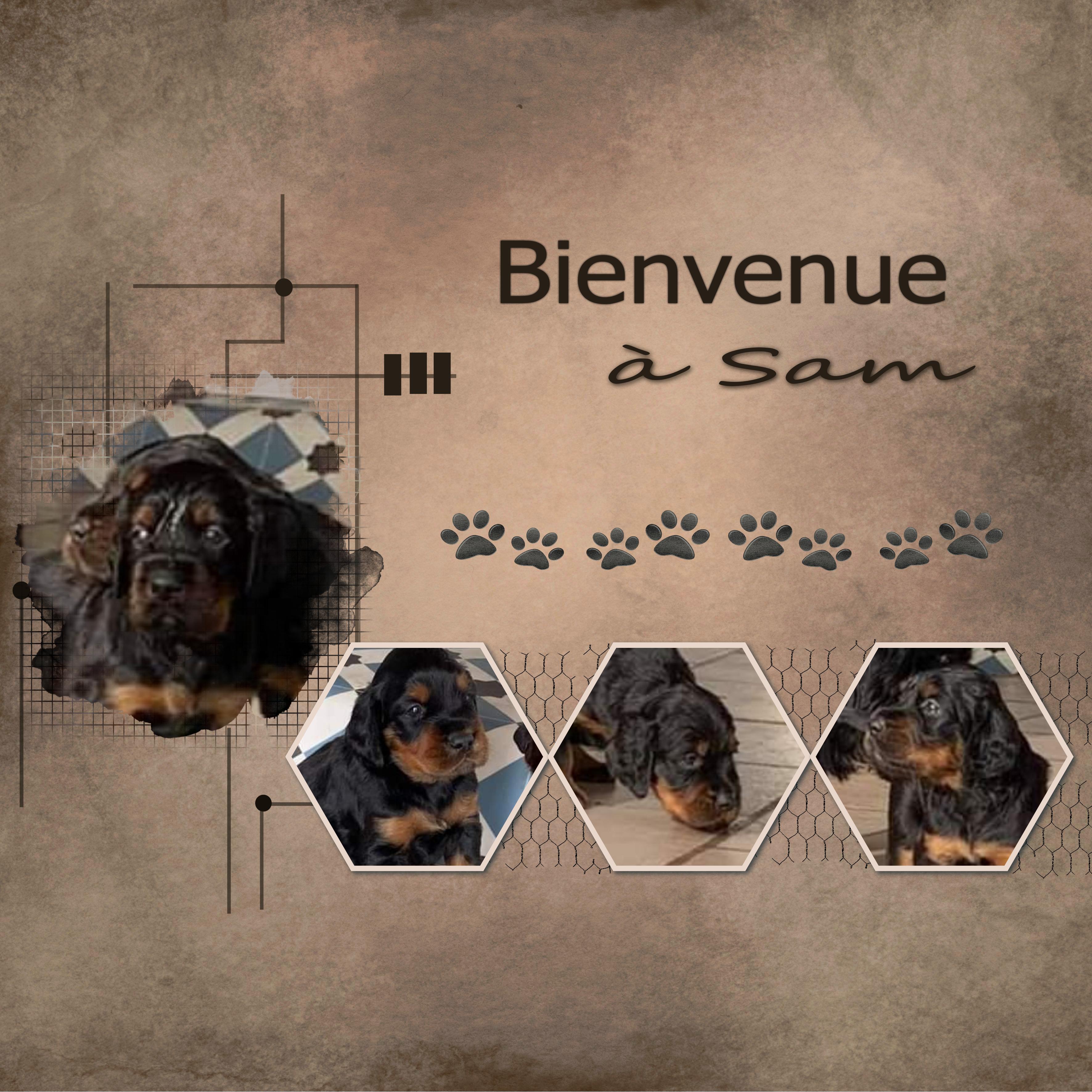 J-c16-BIENVENUE A SAM.jpg