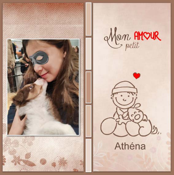 J-c185 - MON PETIT AMOUR.jpg