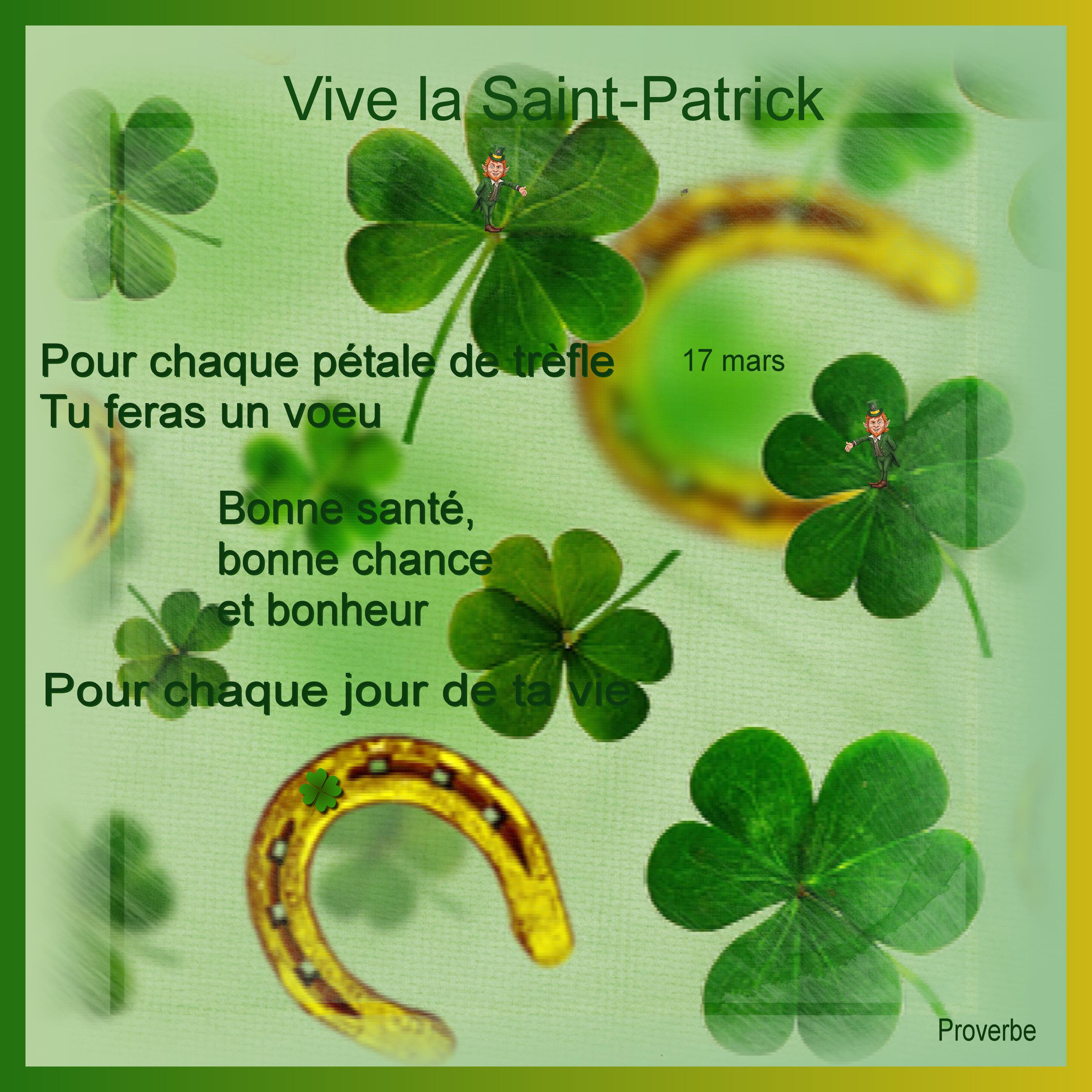 J-c196 -VIVE LA SAINT-PATRICK.jpg