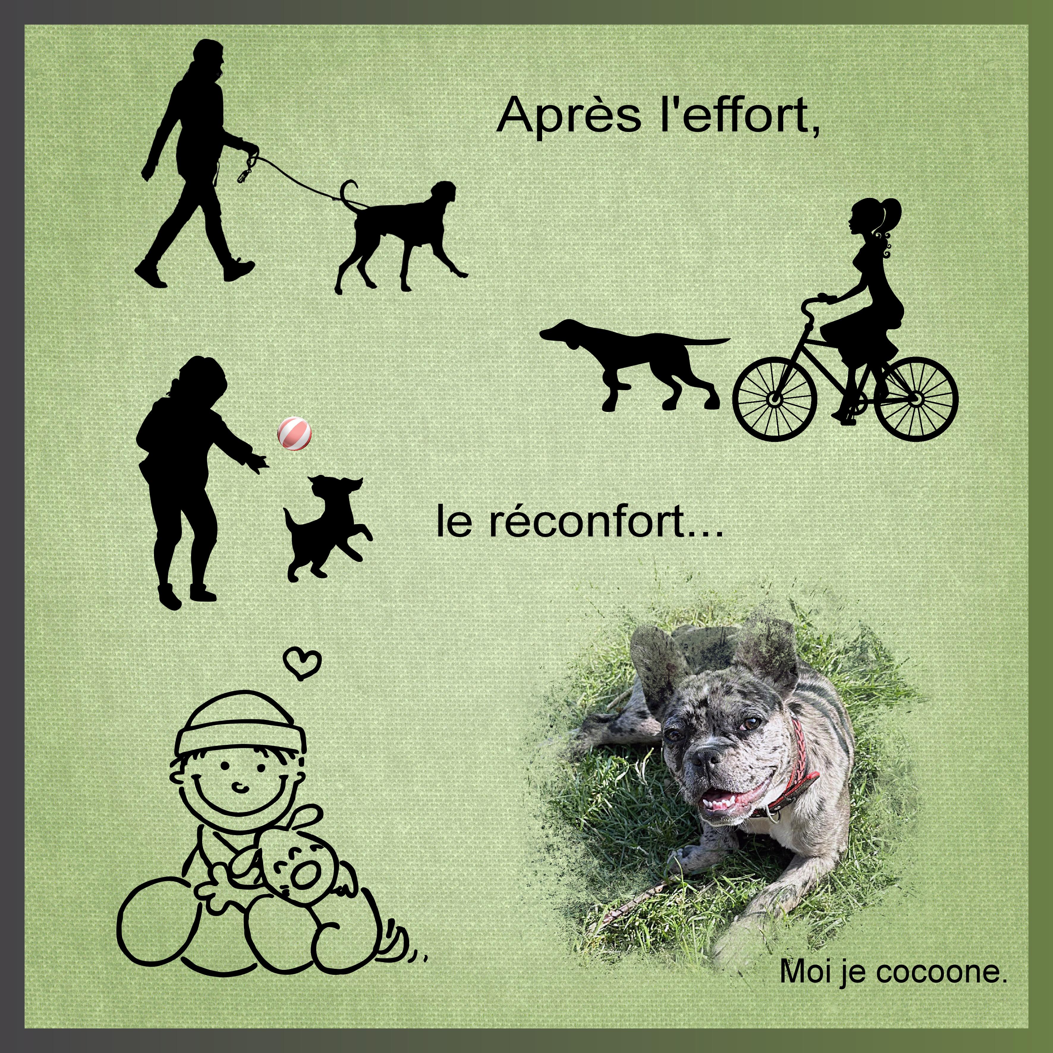 J-c197 - MOI JE COCOONE.jpg