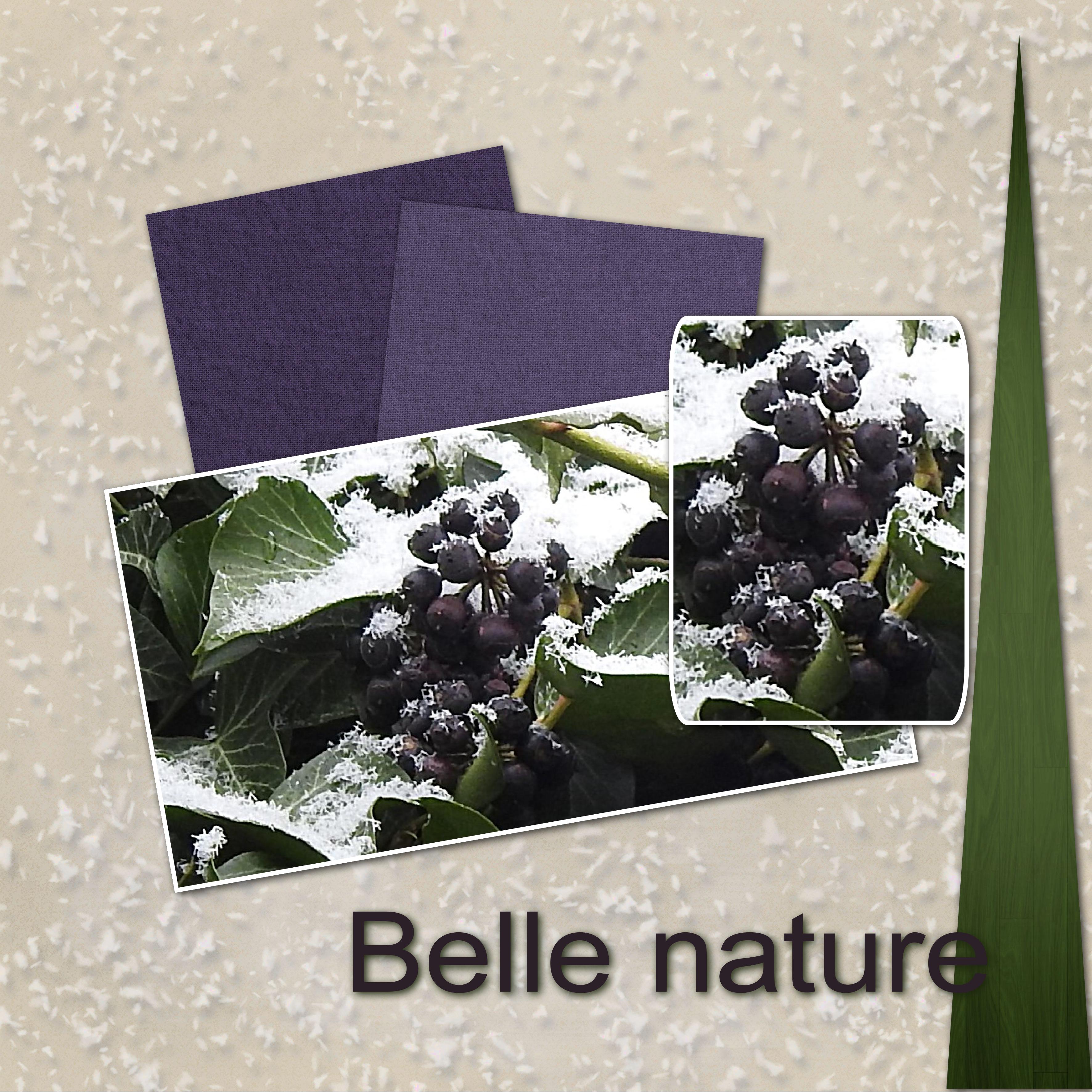 J-c2 - BELLE NATURE.jpg