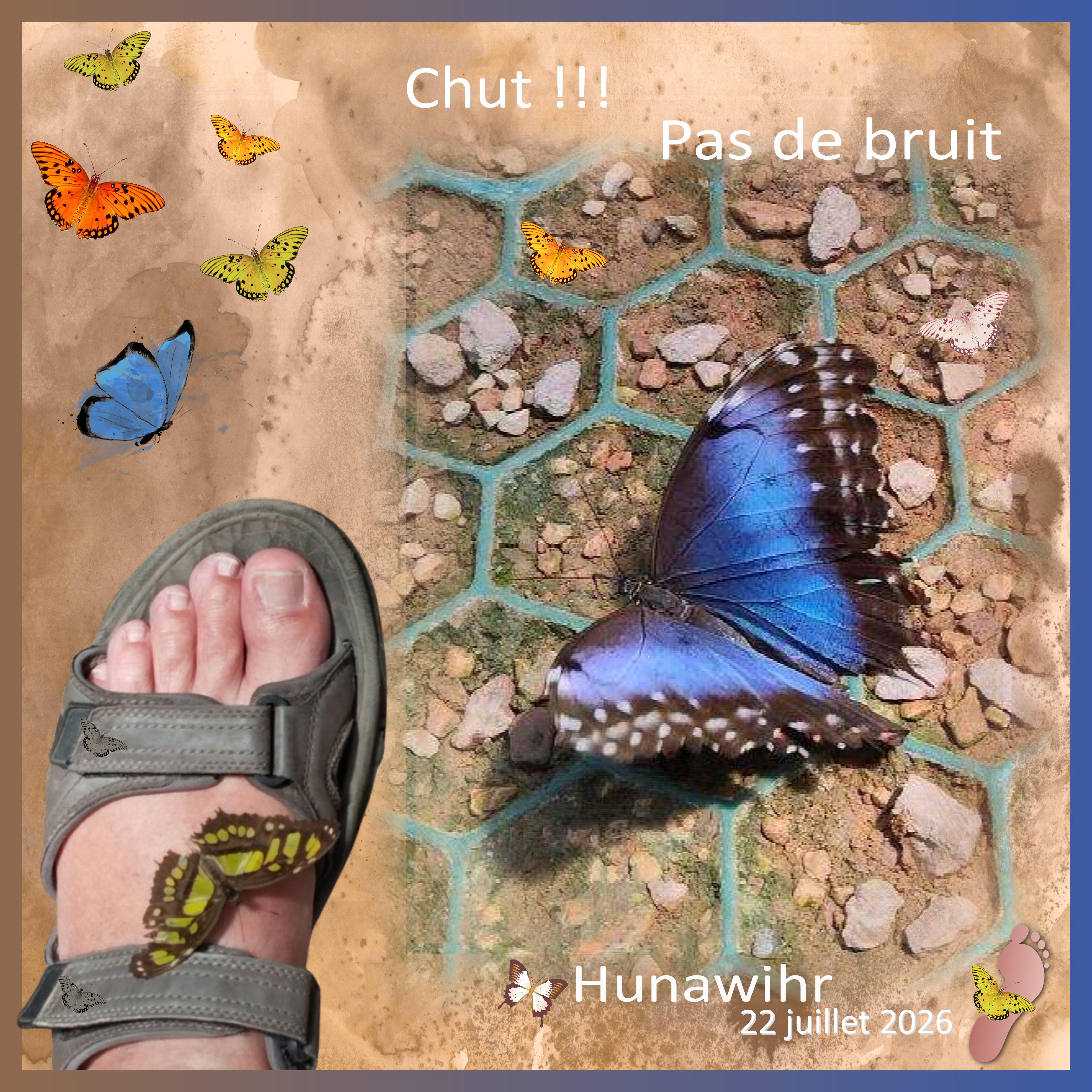 J-c205 - CHUT ...  .jpg