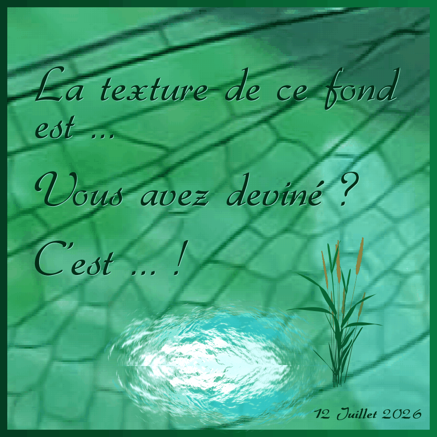 J-c208 - LA TEXTURE DE CE FOND EST ...   .gif