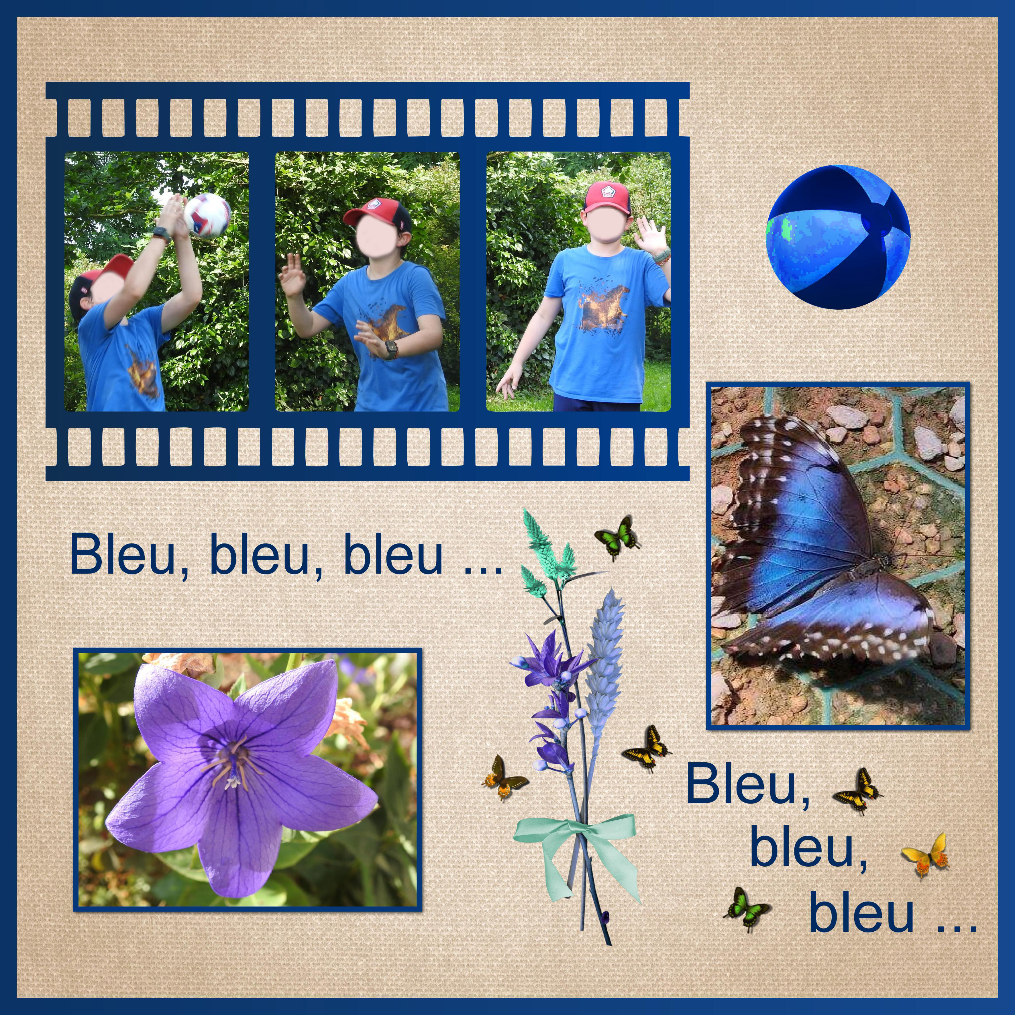 J-c213 - BLEU BLEU BLEU ...   .jpg