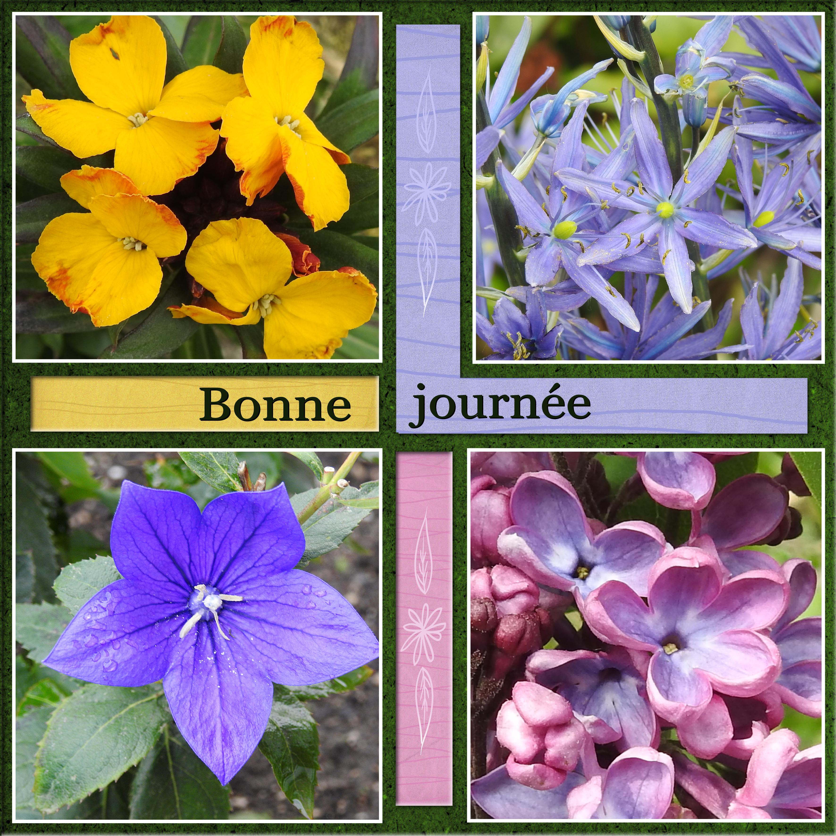 J-c22 - BONNE JOURNEE.jpg