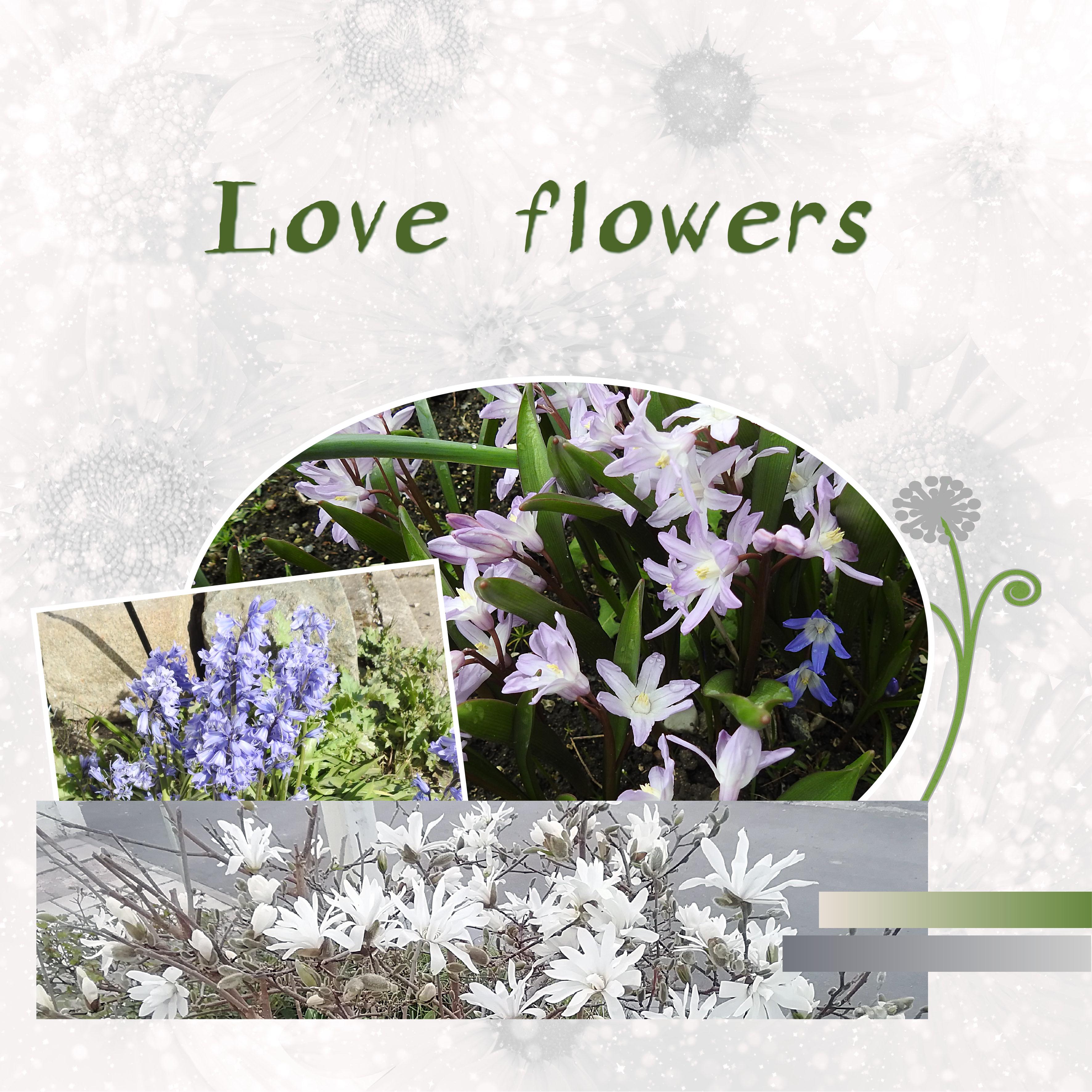 J-c25 - LOVE FLOWERS.jpg