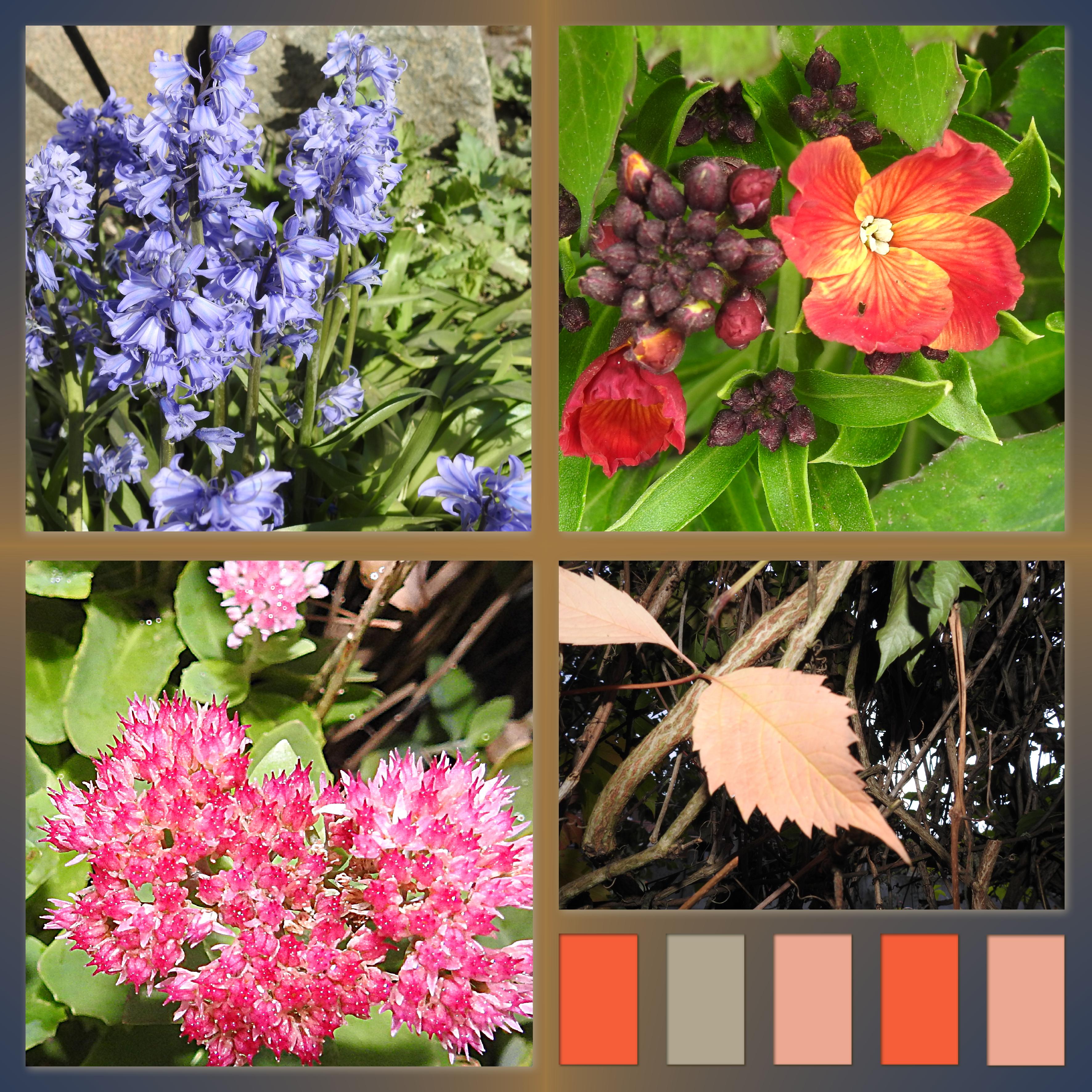 J-c27 - PLAISIR D'OFFRIR.jpg