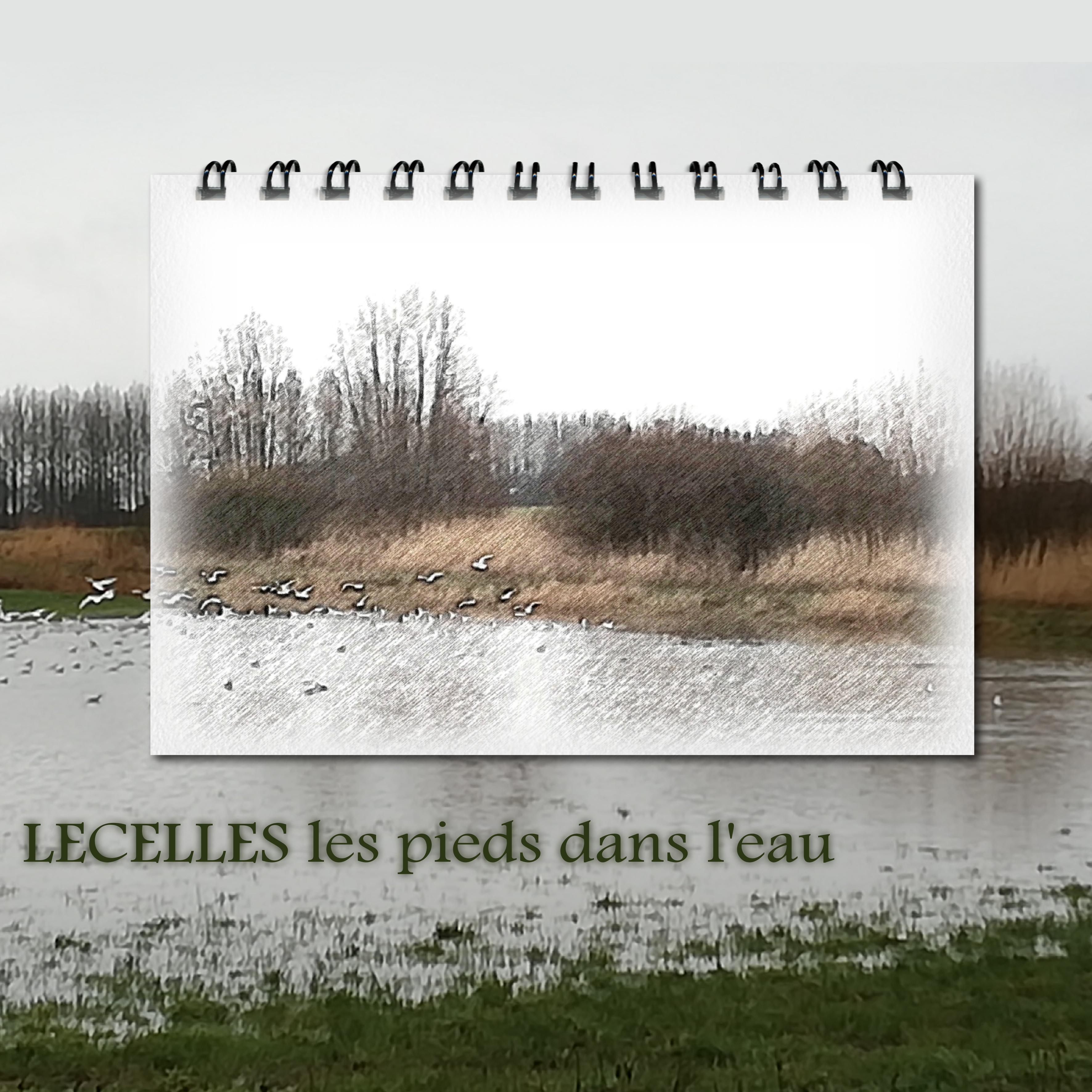 J-c3 - LECELLES - Les pieds dans l'eau.jpg