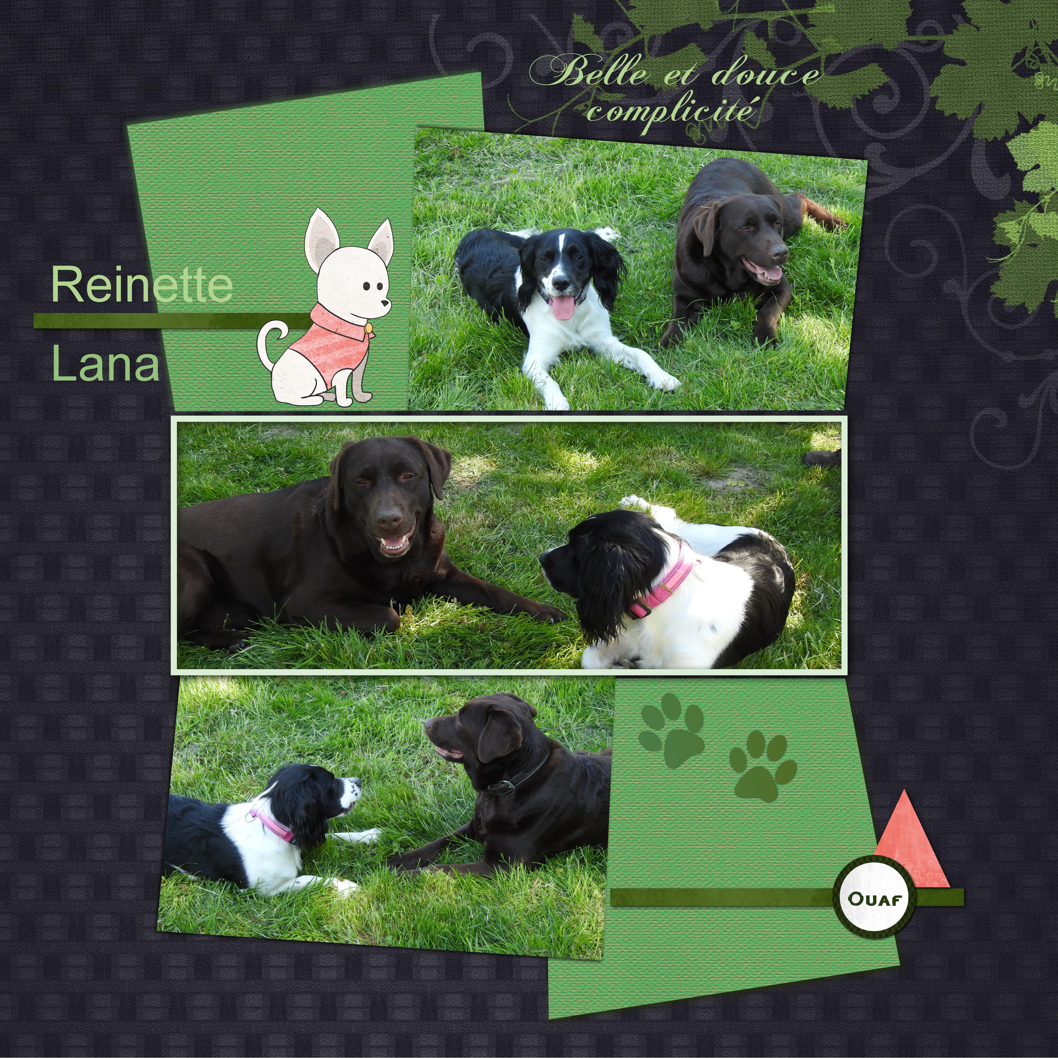 J-c33- LANA ET REINETTE.jpg