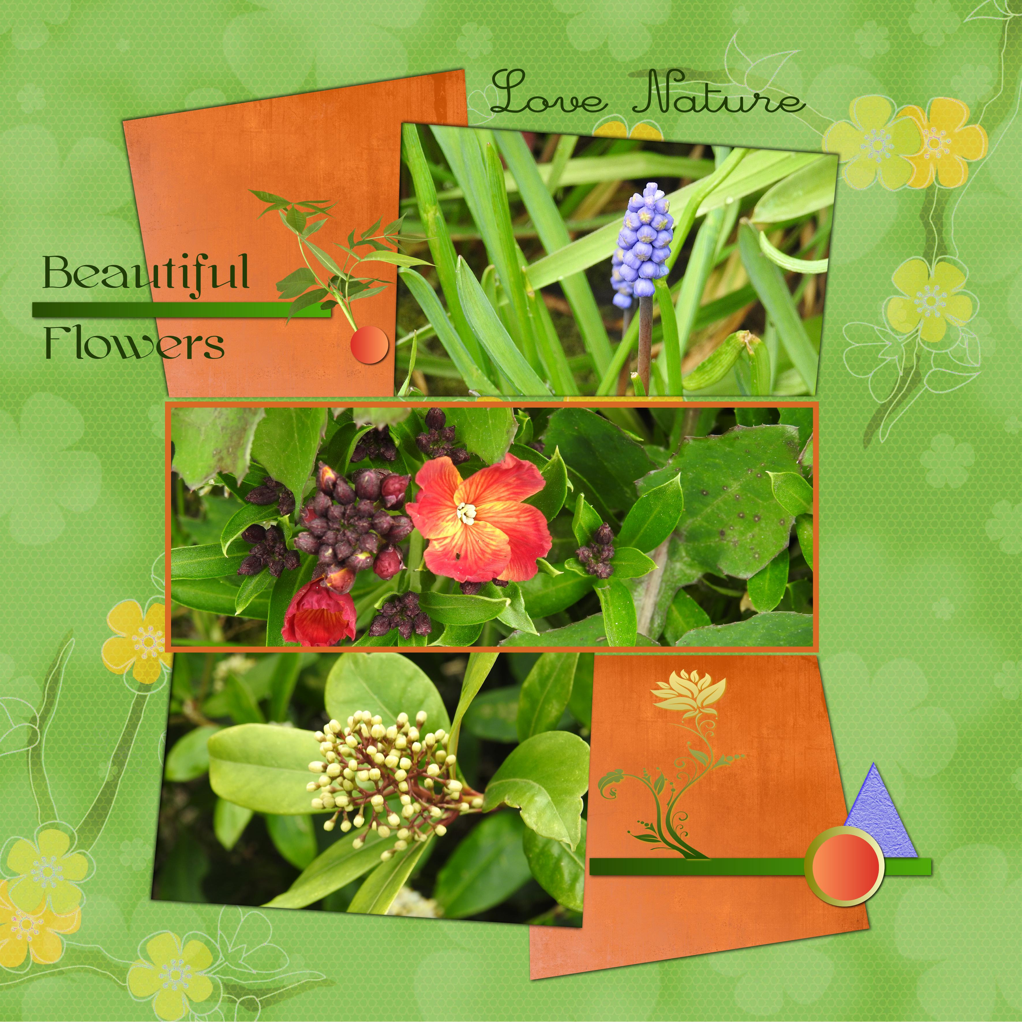 J-c34 - BEAUTIFUL FLOWERS.jpg