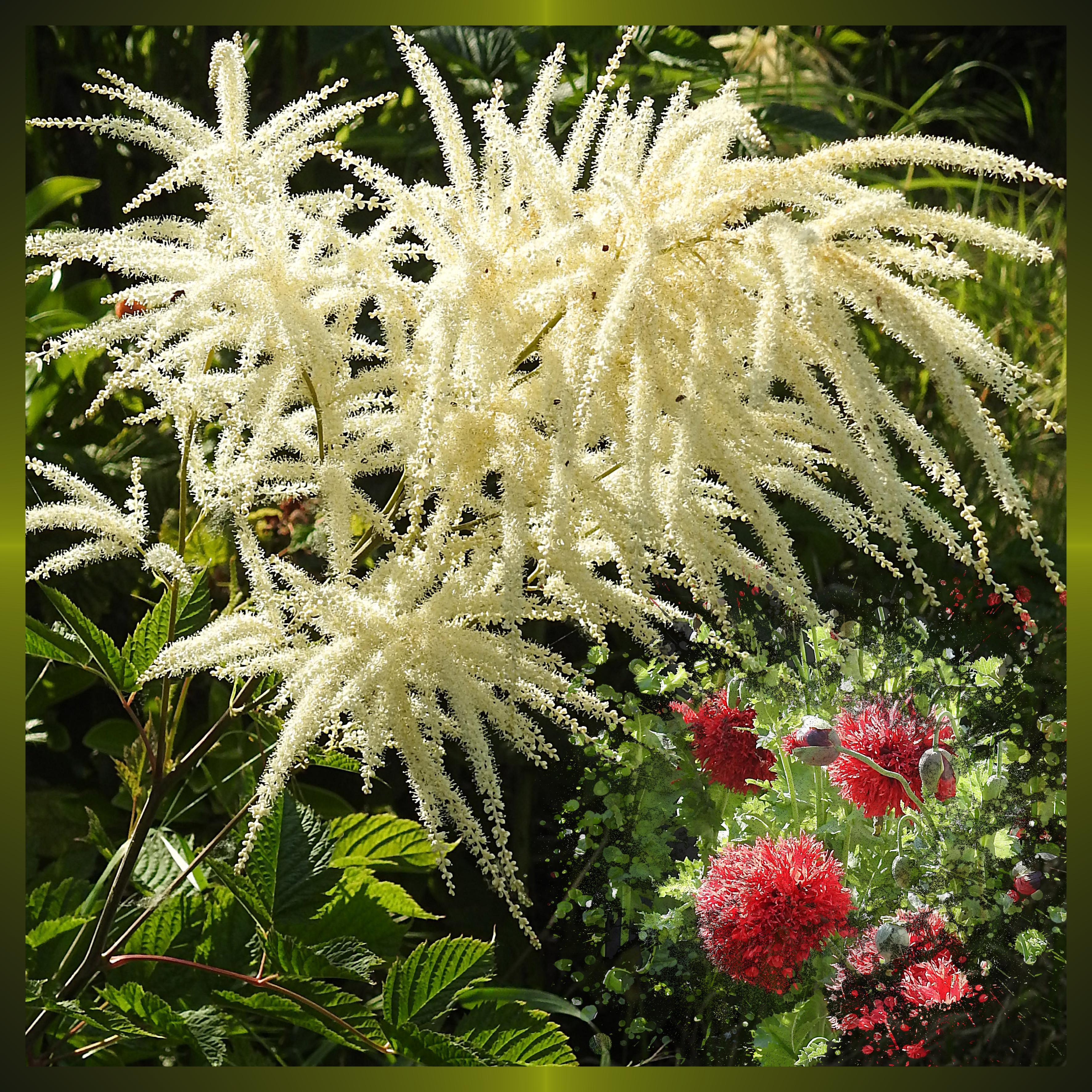 J-c36 - PLAISIR D'OFFRIR.jpg