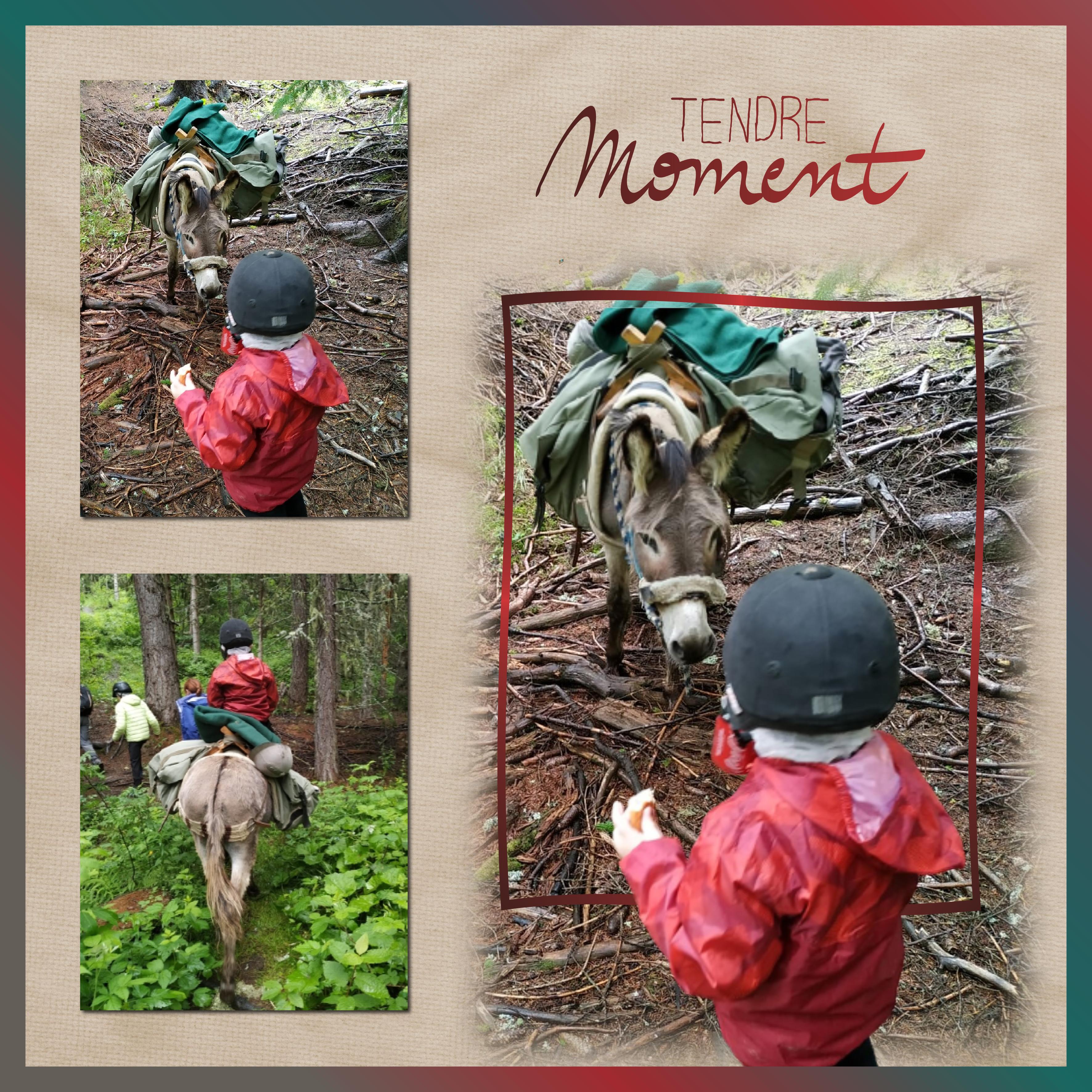 J-c48 - TENDRE MOMENT.jpg