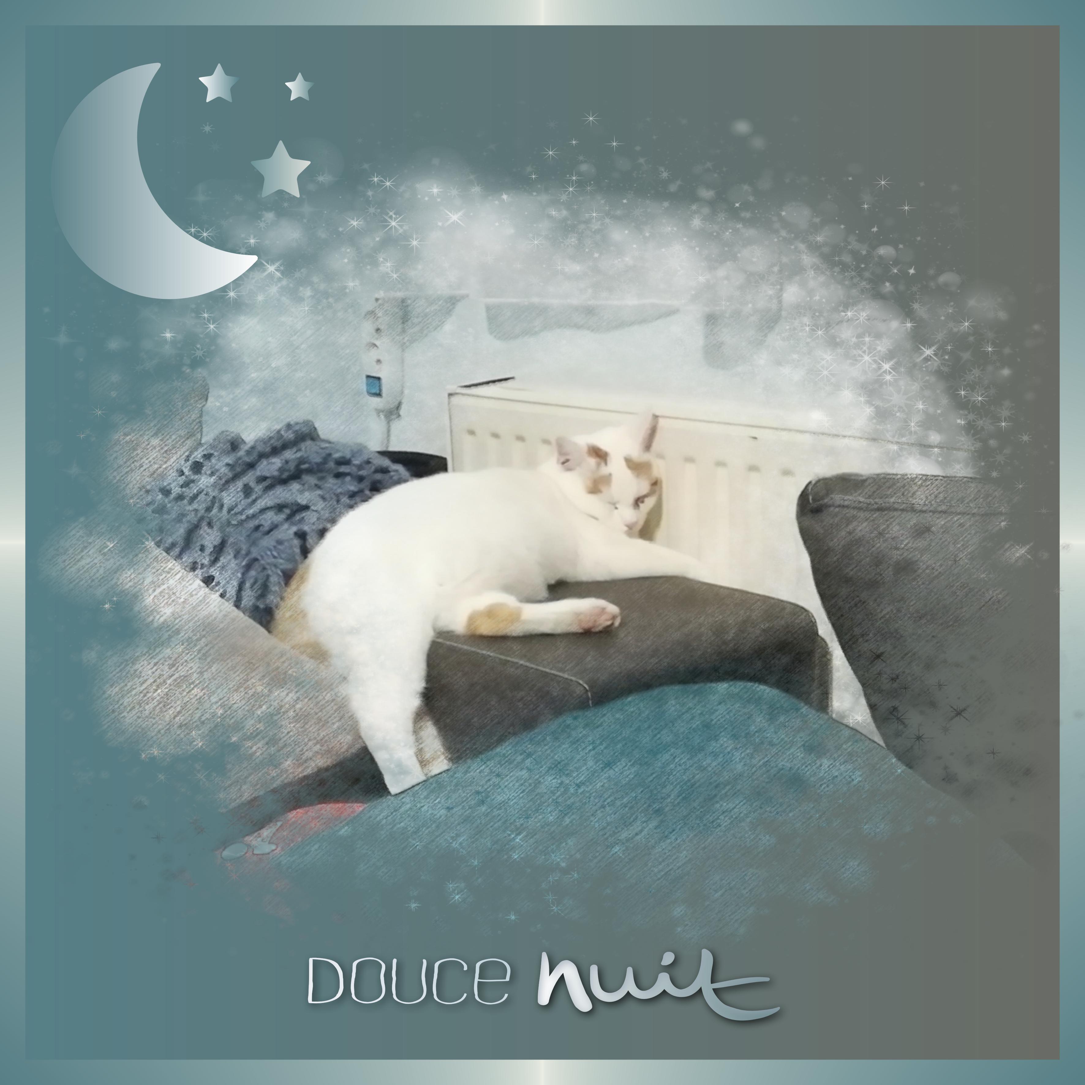 J-c52 - DOUCE  NUIT.jpg