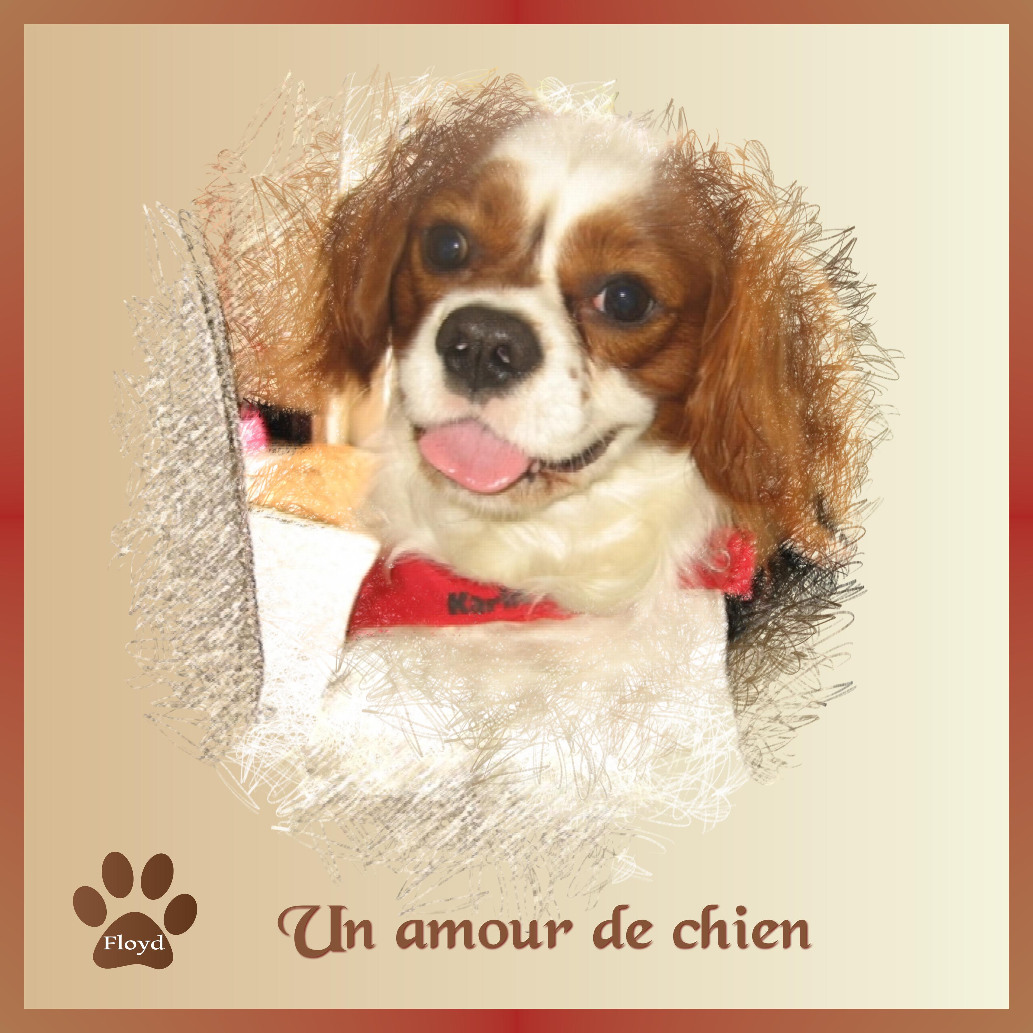 J-c53 - FLOYD-UN AMOUR DE CHIEN.jpg