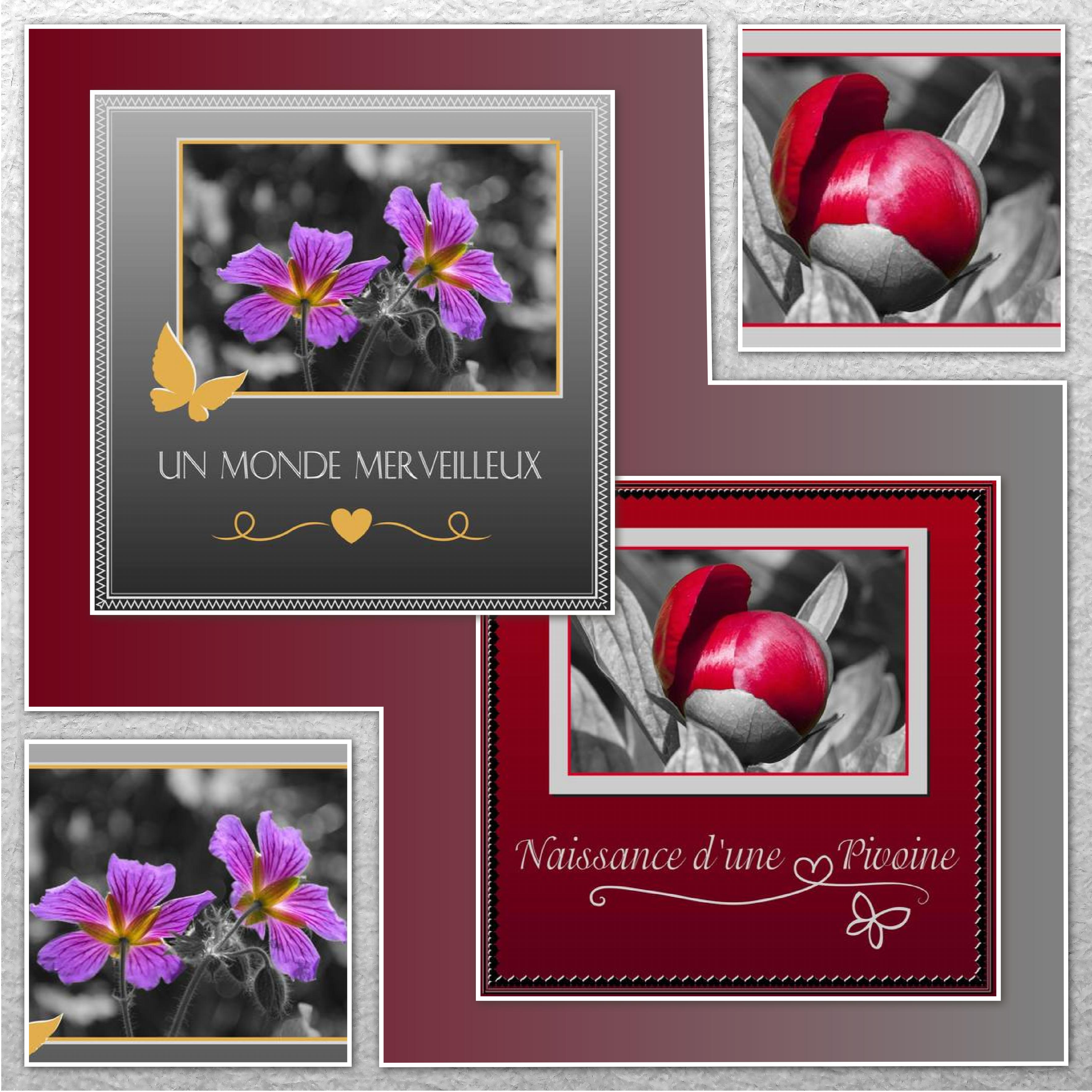 J-c56 - UN MONDE MERVEILLEUX.jpg