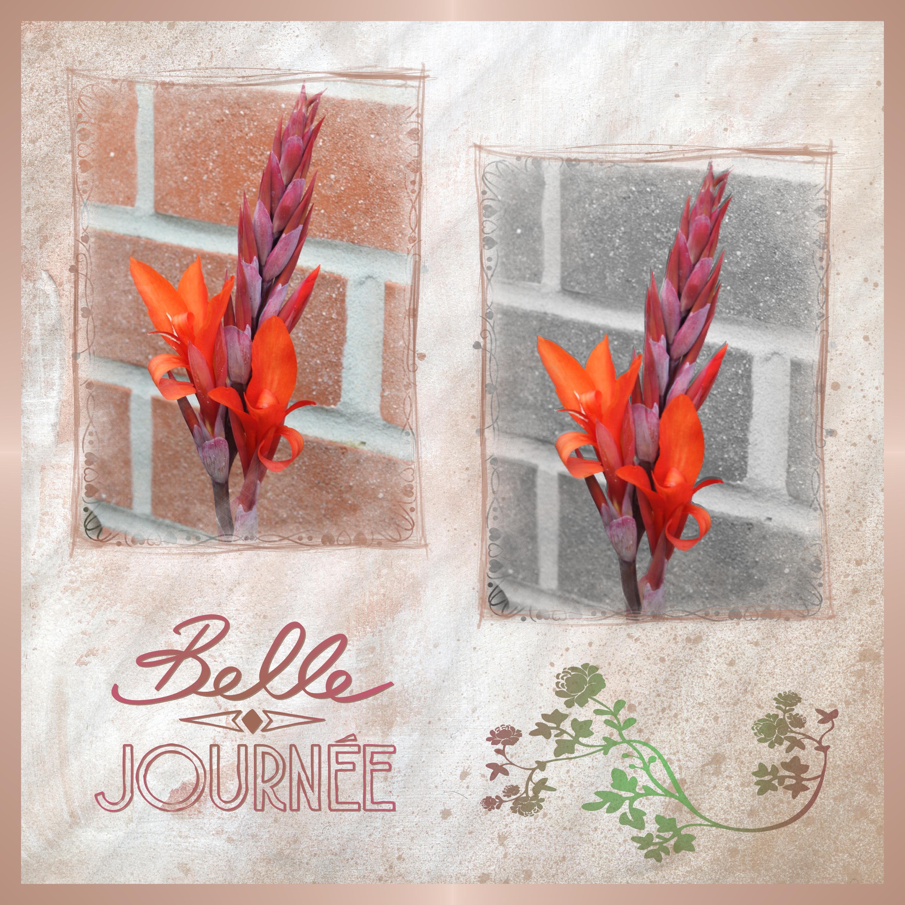 J-c57 - BELLE JOURNEE.jpg