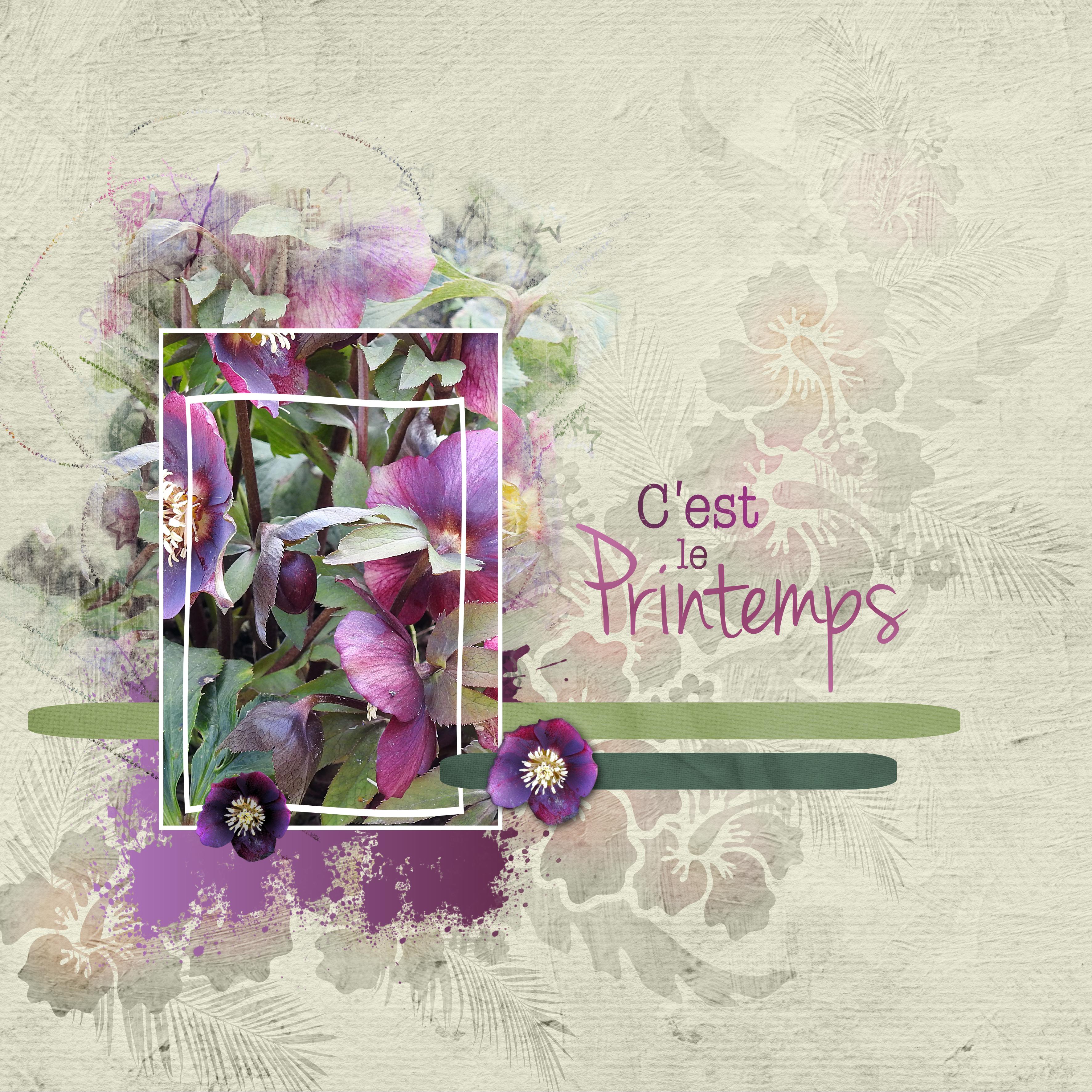 J-c65 - C'EST LE  PRINTEMPS.jpg