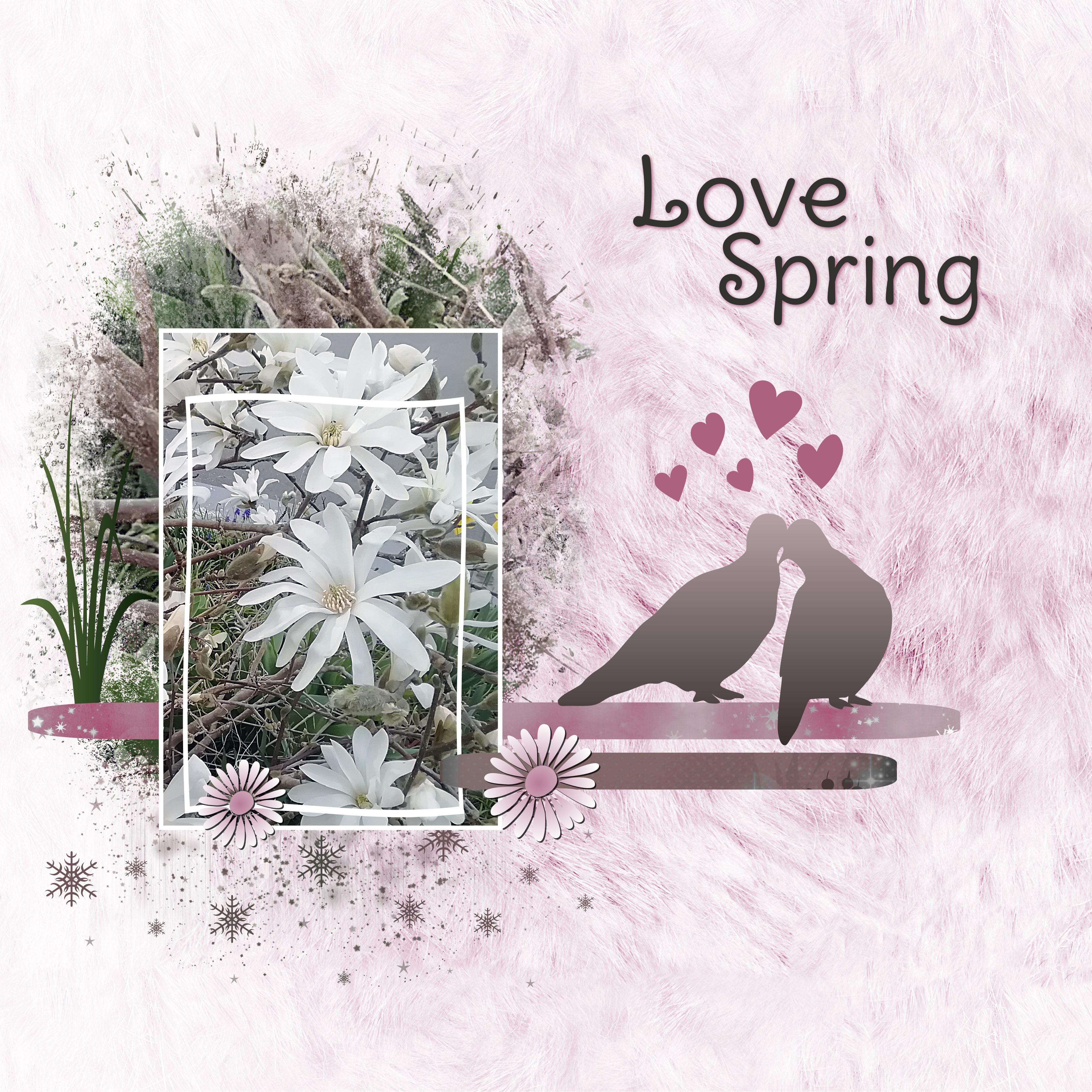 J-c67 - LOVE SPRING.jpg