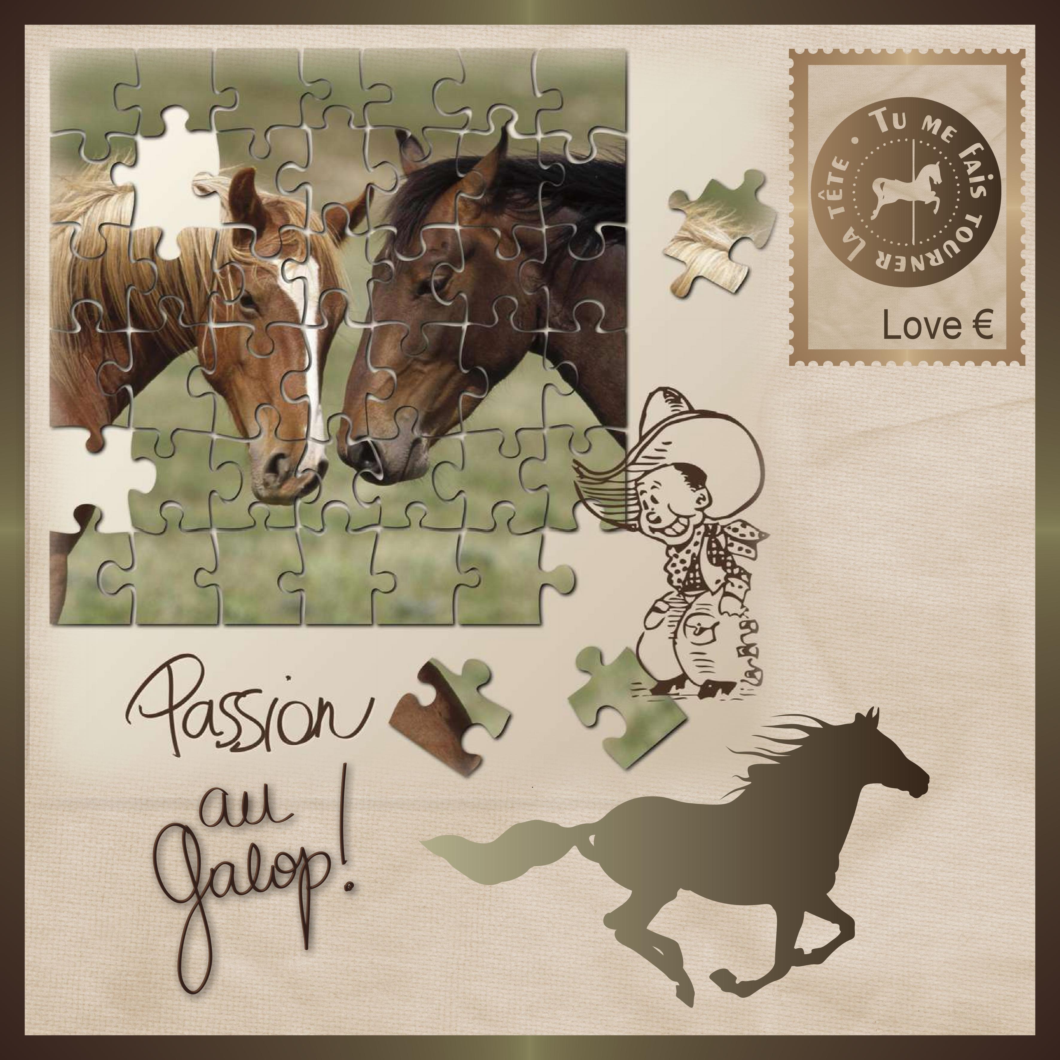 J-c69 - PASSION AU GALOP.jpg