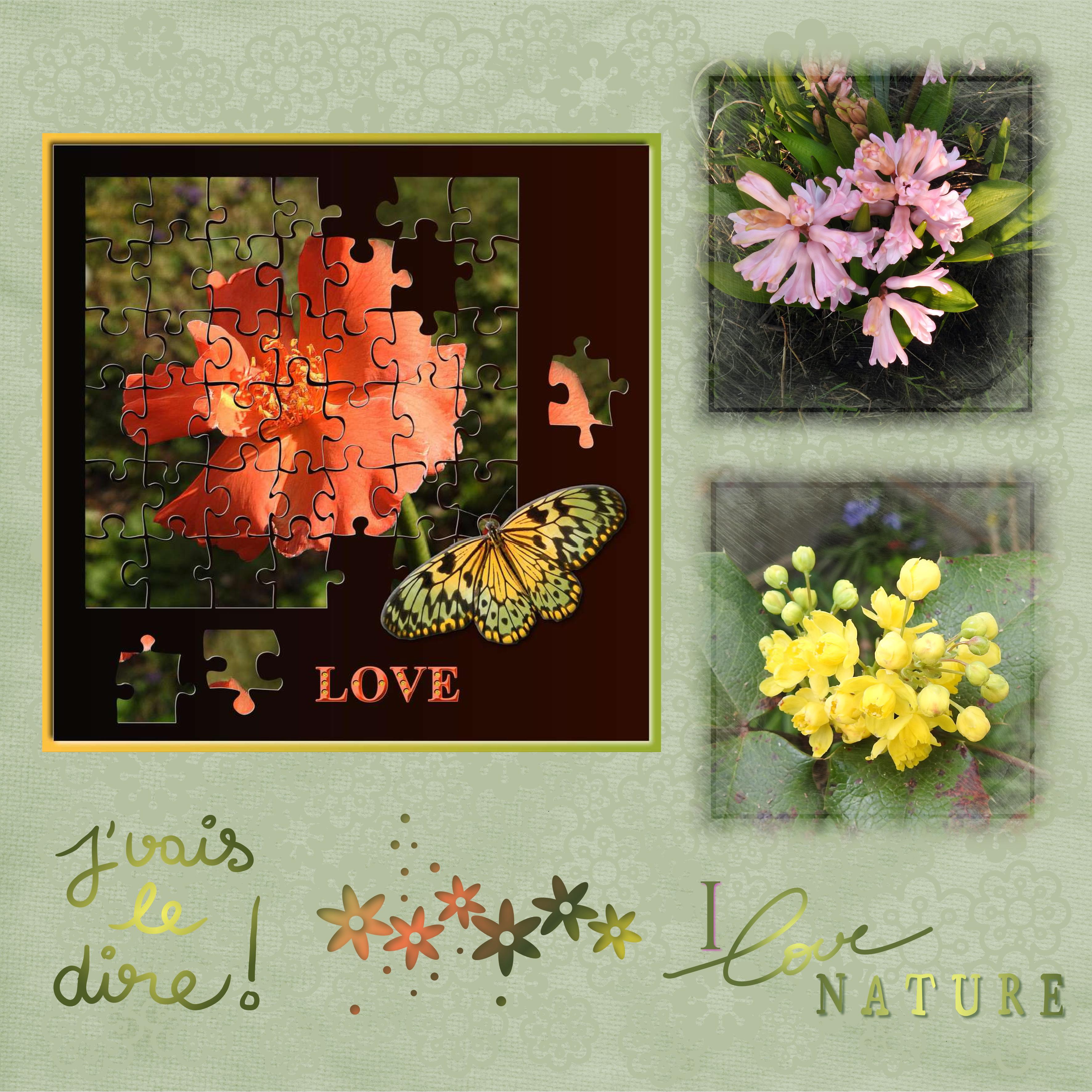 J-c70 - J'VAIS LE DIRE.jpg