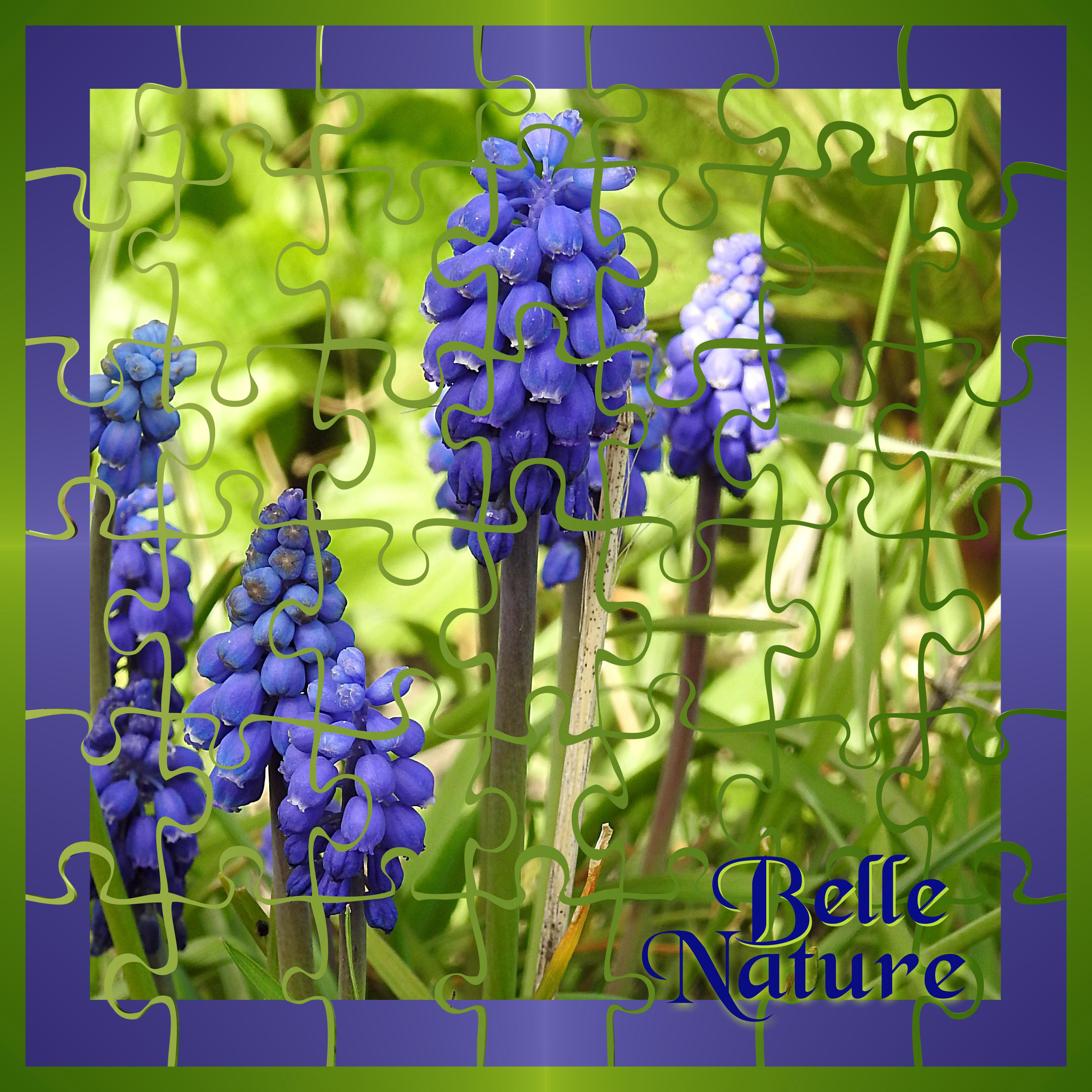 J-c74 - BELLE NATURE.jpg