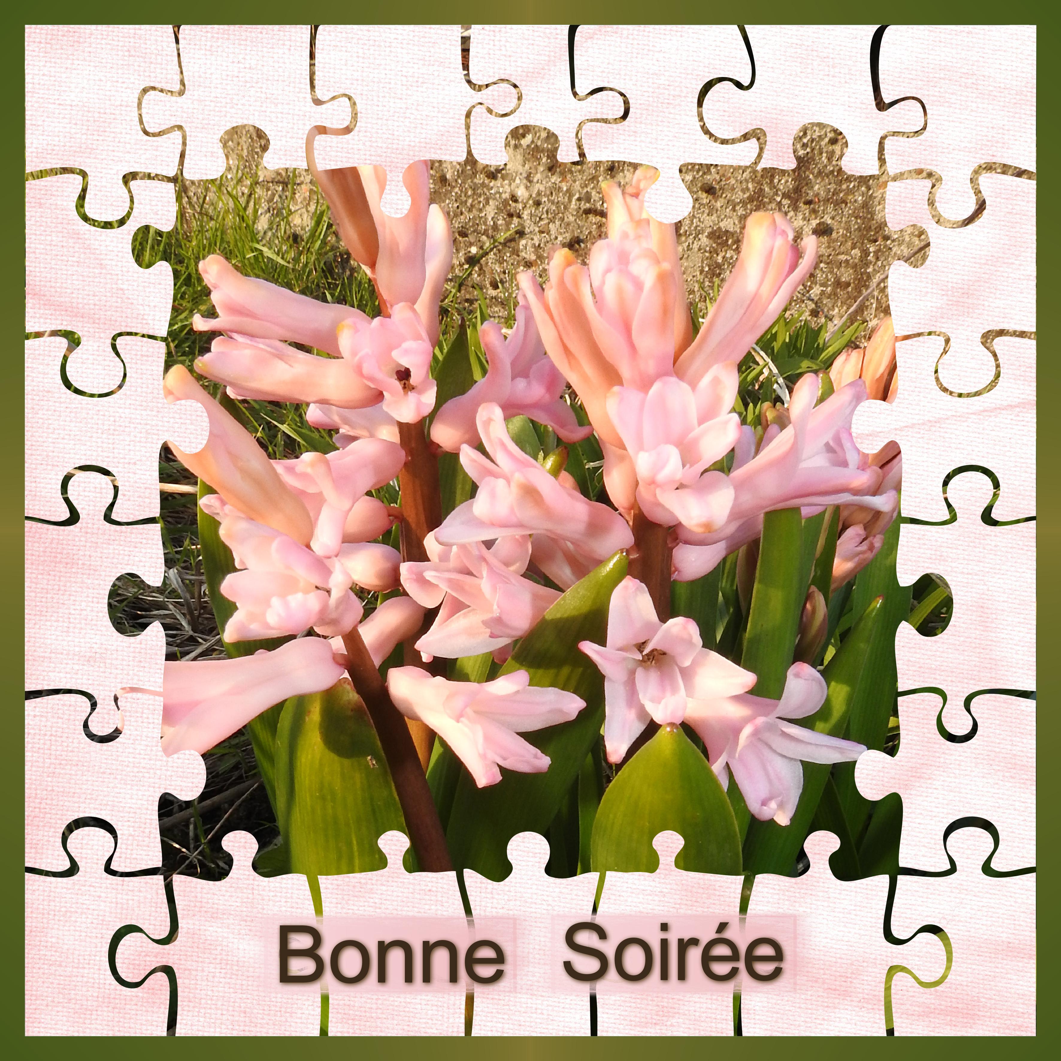 J-c75 - BONNE SOIREE.jpg